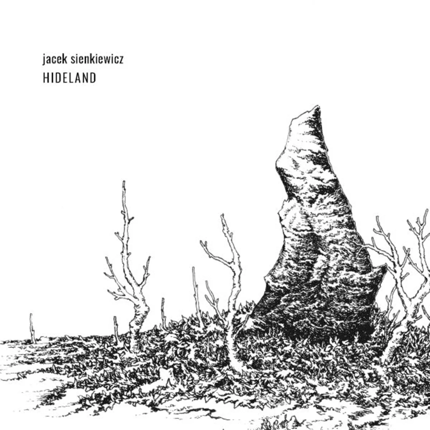 Jacek Sienkiewicz HIDELAND CD