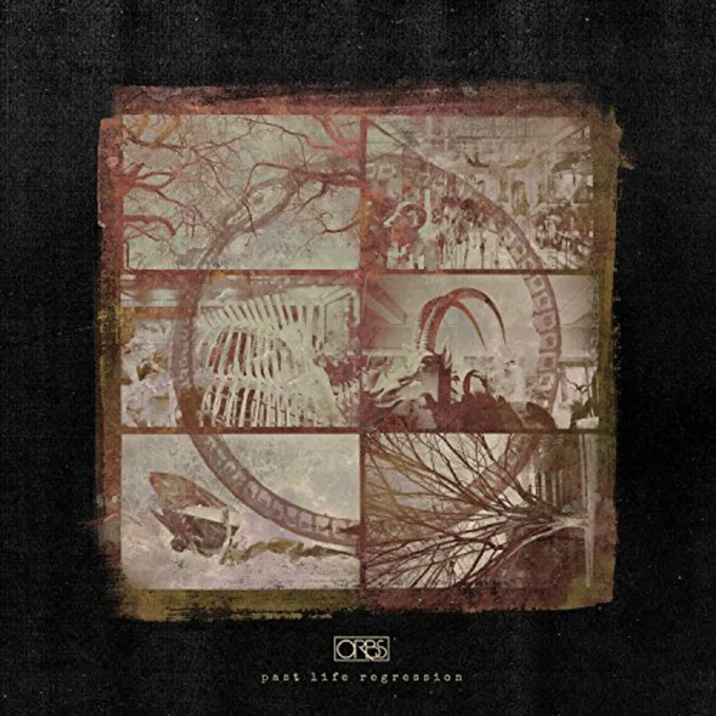 Orbs PAST LIFE REGRESSION CD