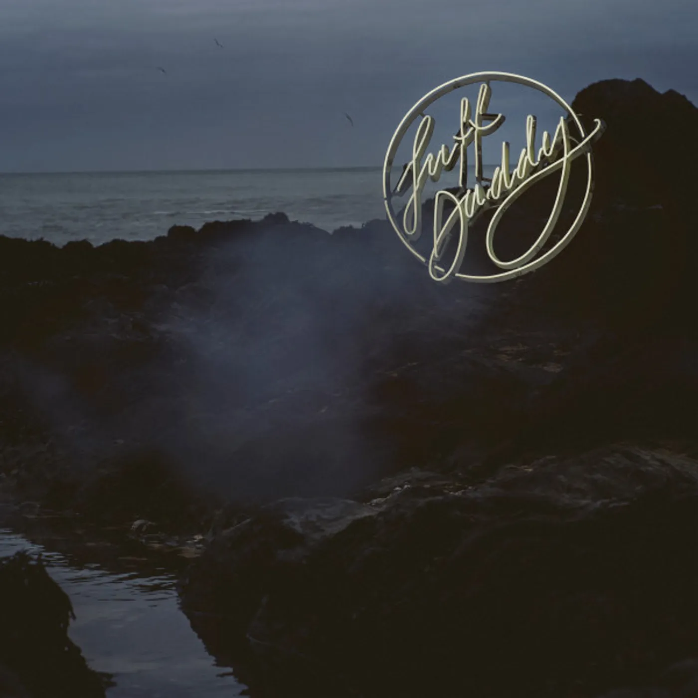Suff Daddy Birdsongs Vinyl Record