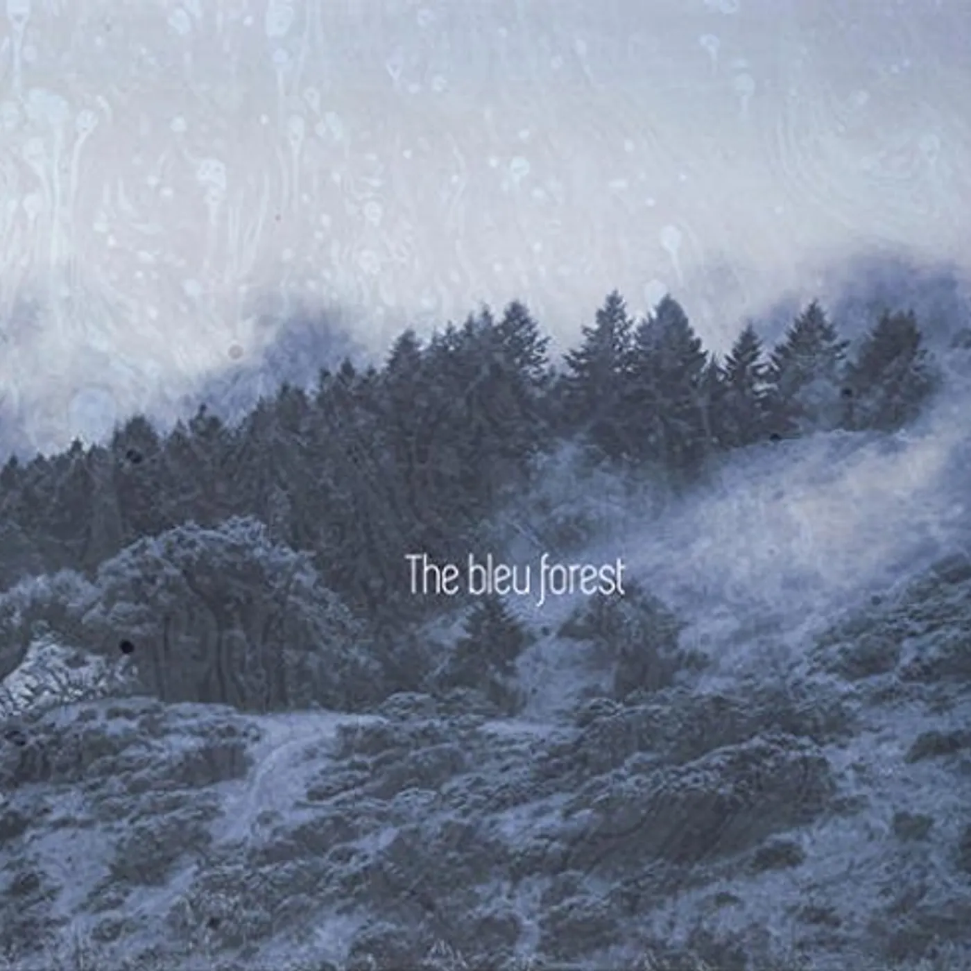 Bleu Forest THOUSAND TREES CD