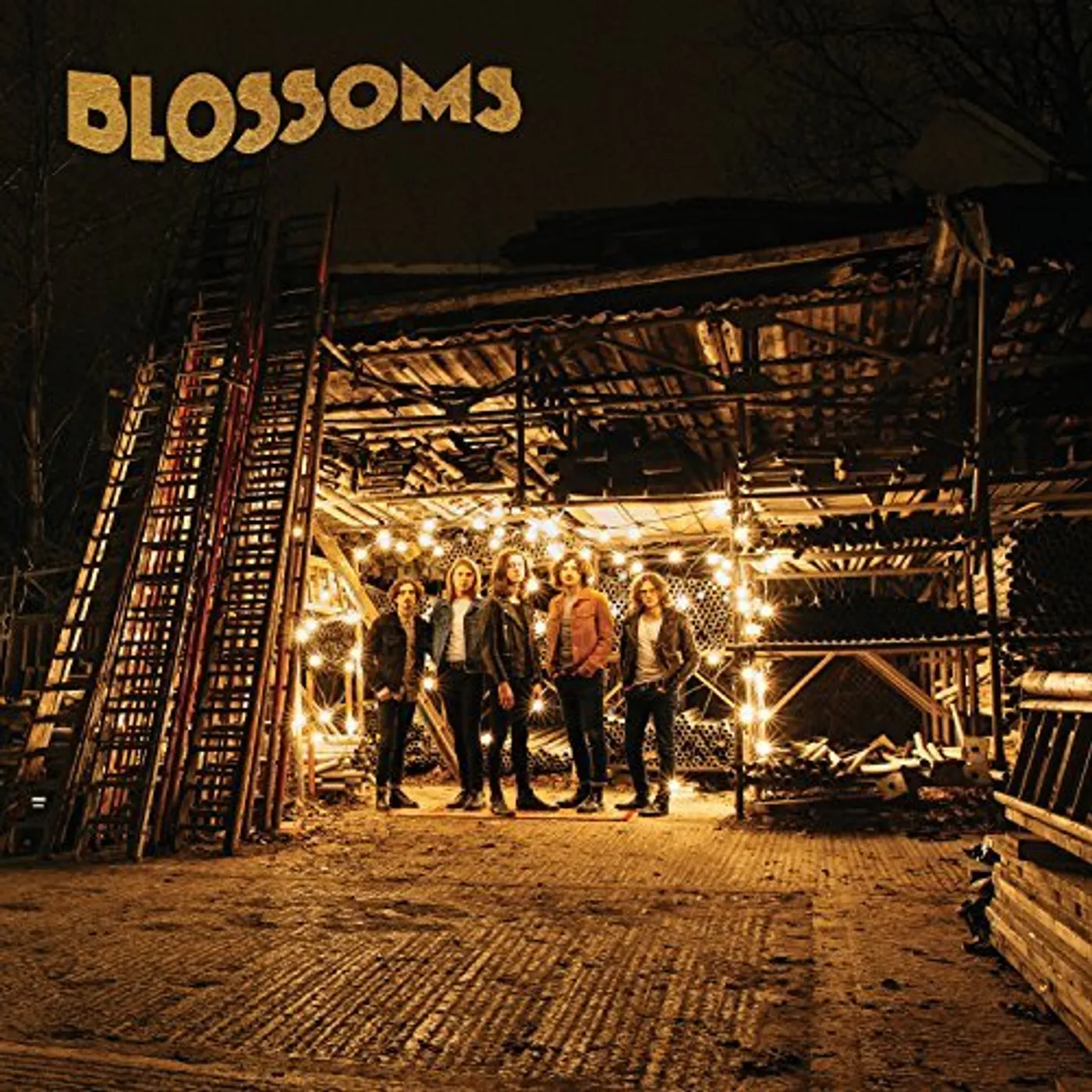BLOSSOMS Vinyl Record - UK Release