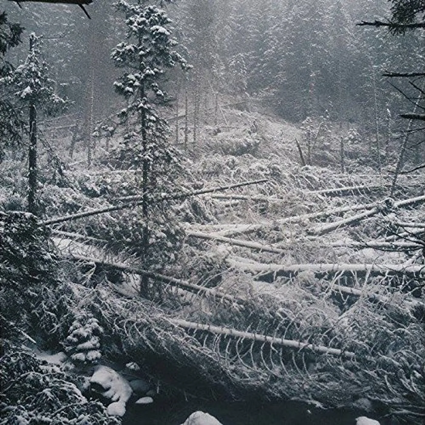 TOSKA CD