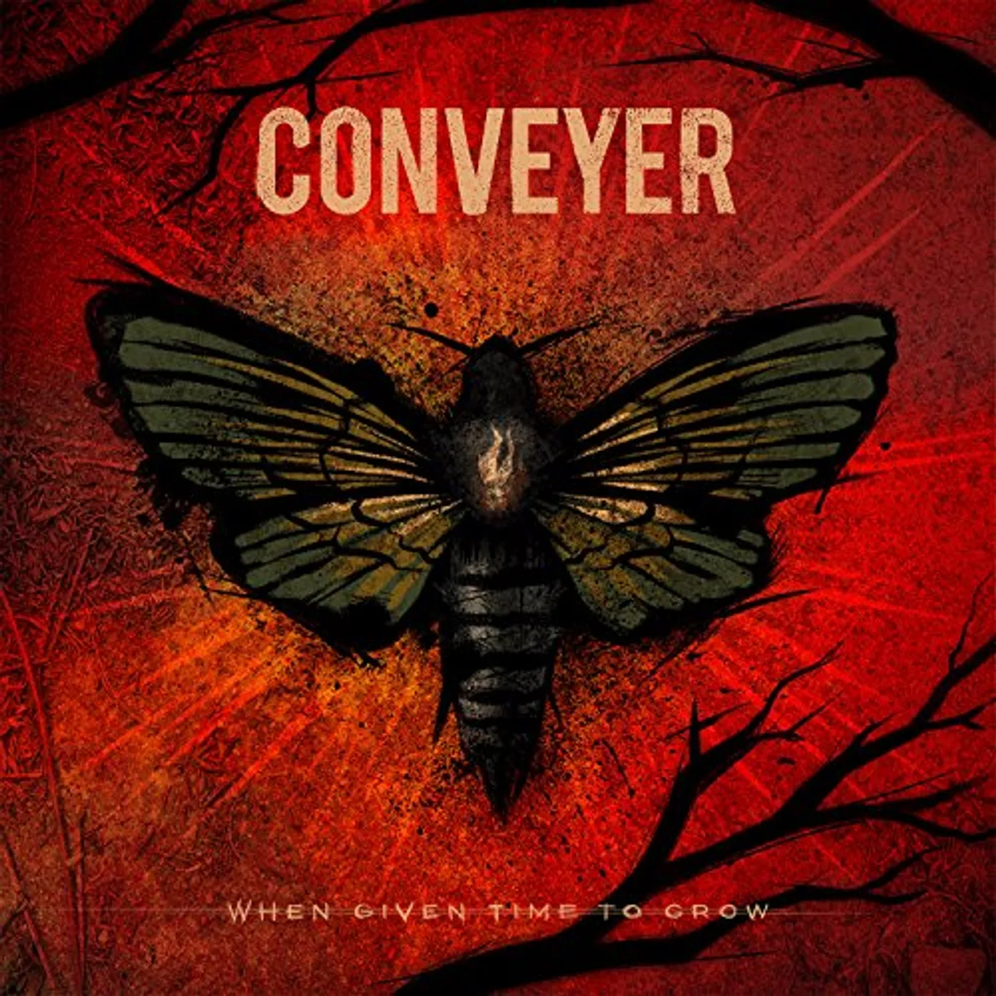 Conveyer When Given Time to Grow Vinyl Record