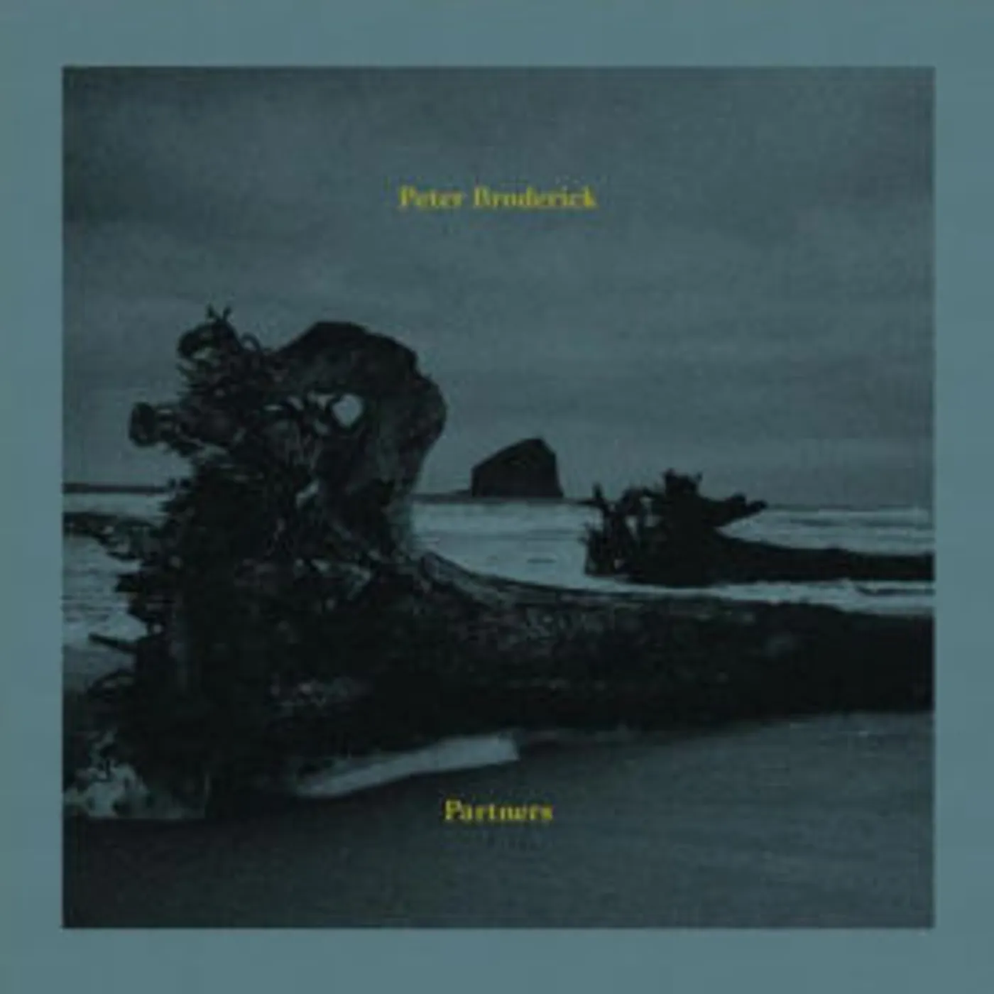 Peter Broderick Partners Vinyl Record