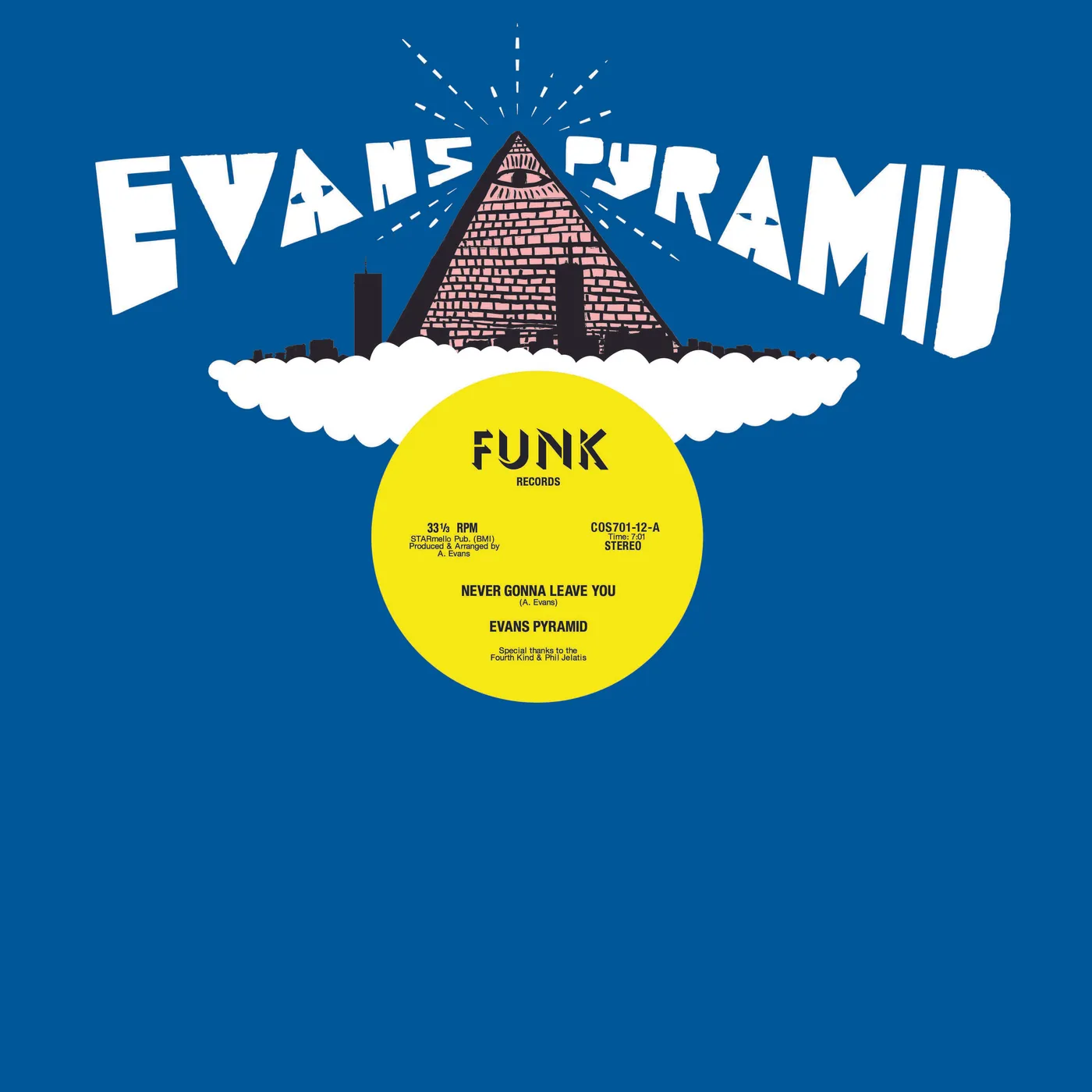 Evans Pyramid NEVER GONNA LEAVE YOU / DIP DROP Vinyl Record