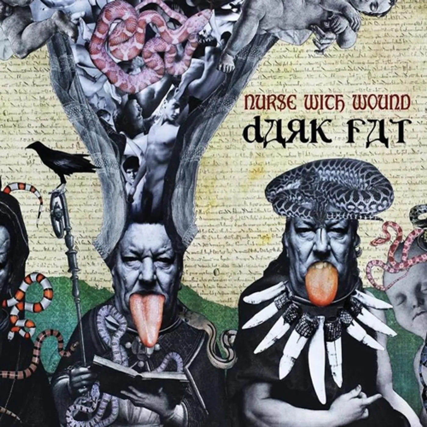 Nurse With Wound DARK FAT CD