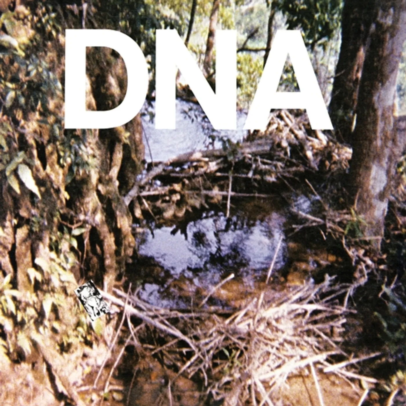 A Taste Of DNA Vinyl Record