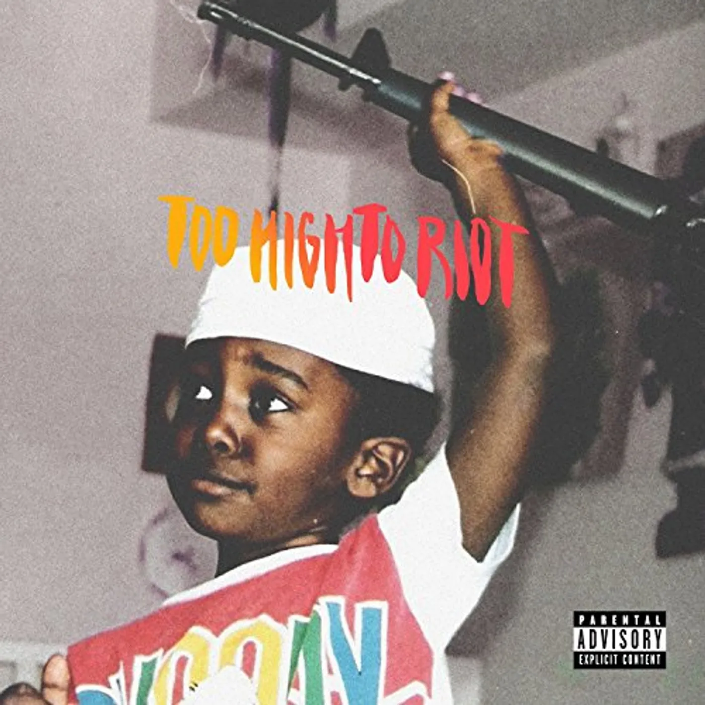 Bas Too High To Riot Vinyl Record