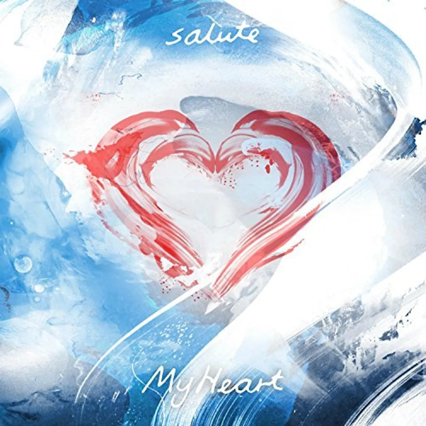 salute My Heart Vinyl Record