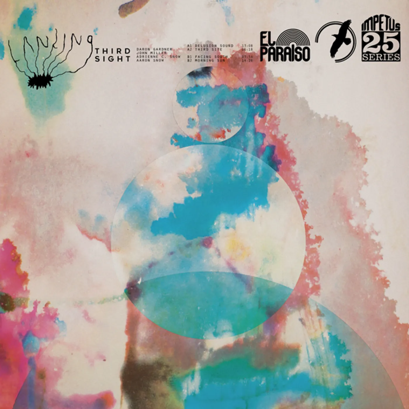 Landing Third Sight Vinyl Record