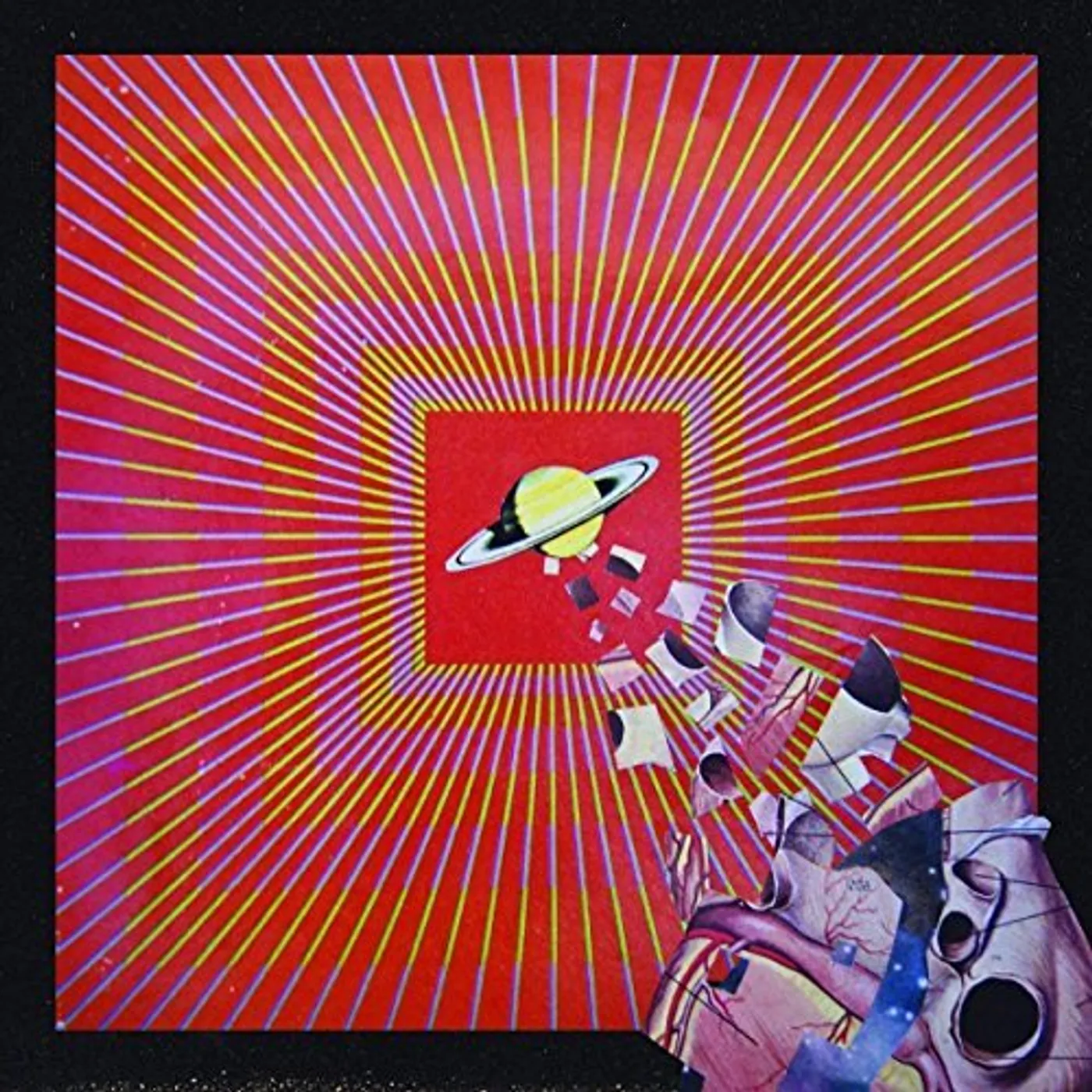 The Lay Llamas Vinyl Record
