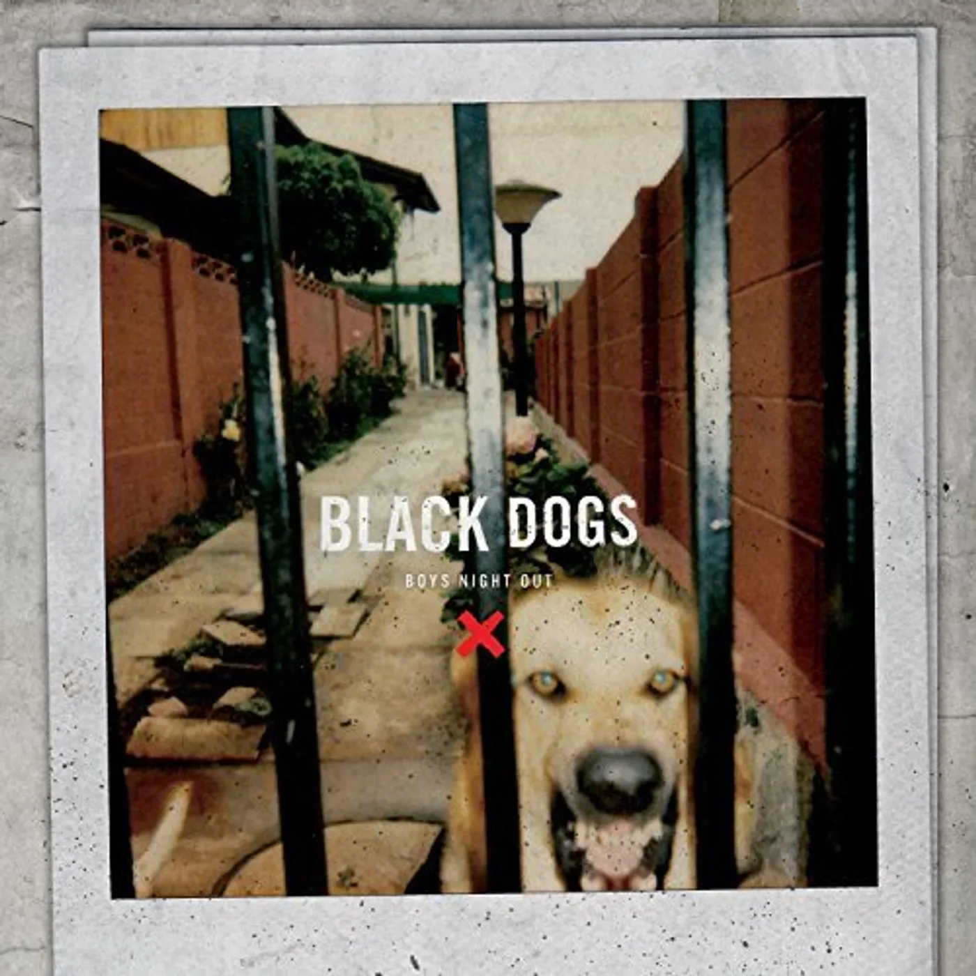 Boys Night Out Black Dogs Vinyl Record