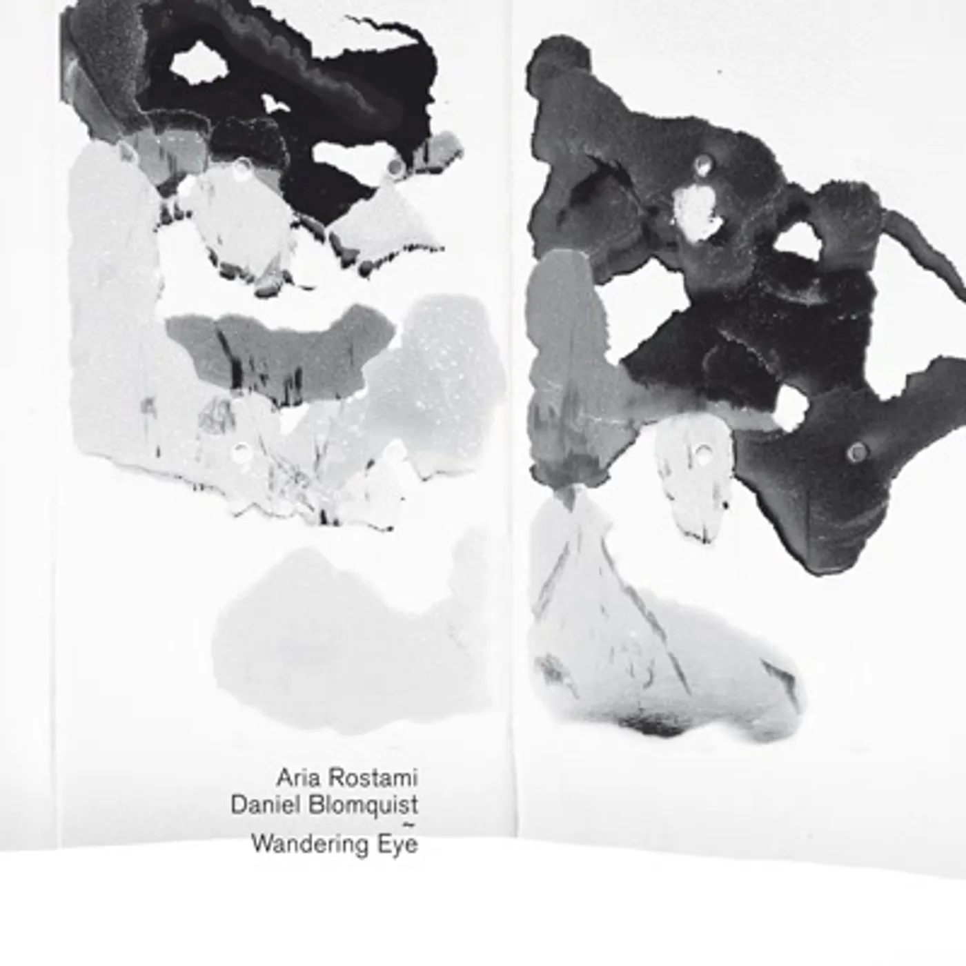 Aria Rostami / Daniel Blomquist WANDERING EYE CD