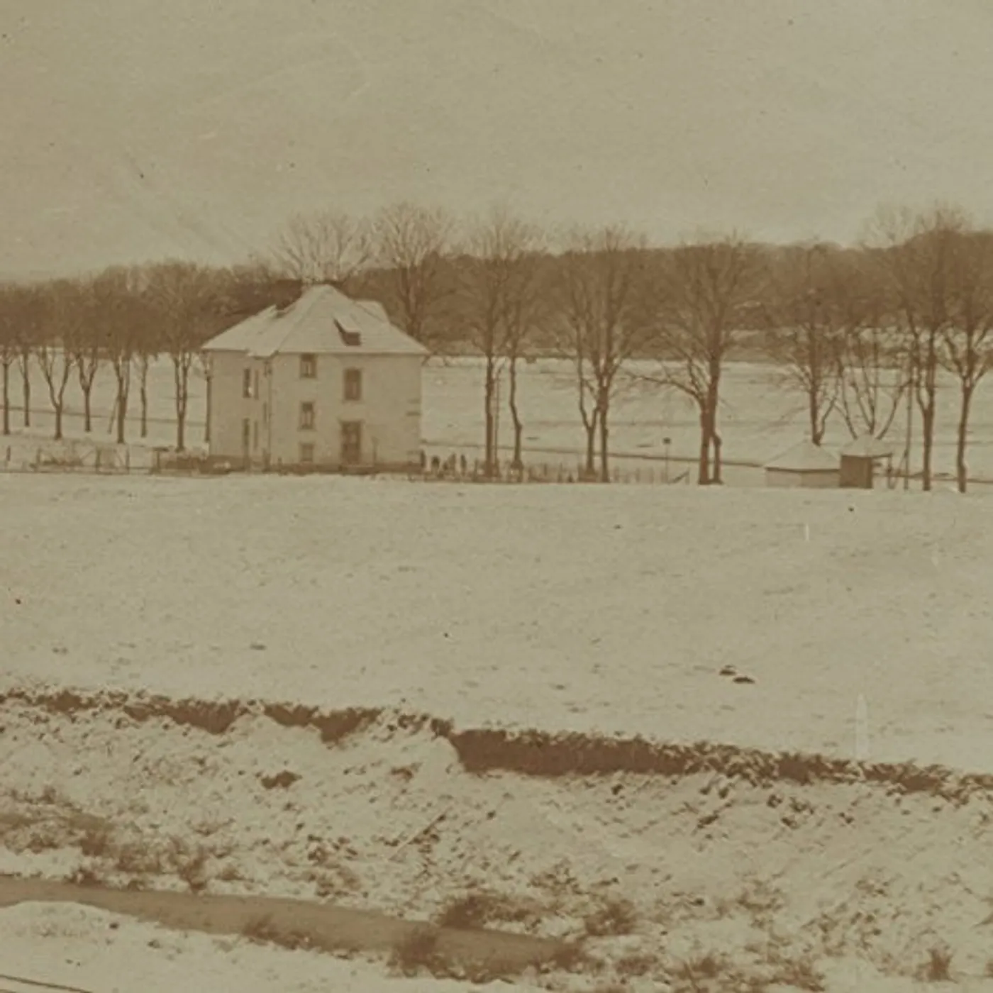 Palehorse LOOKING WET IN PUBLIC Vinyl Record