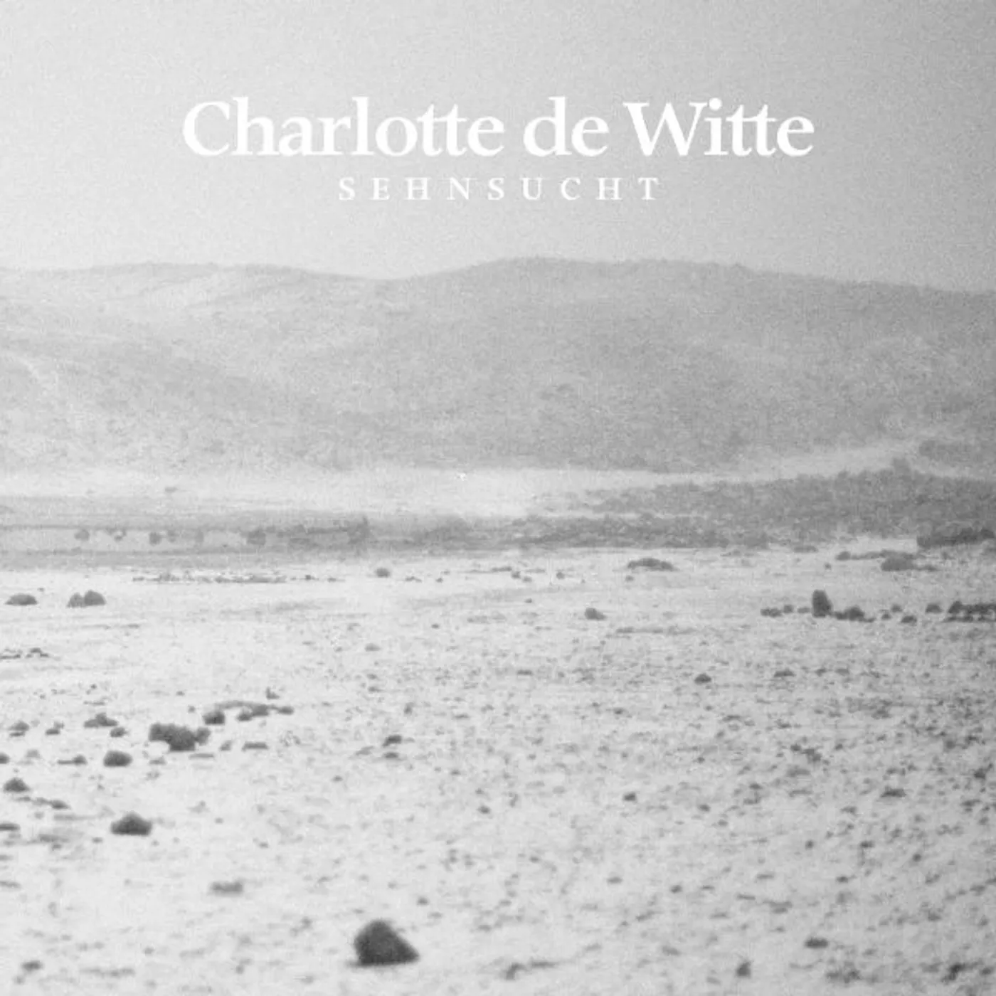 Charlotte de Witte Sehnsucht Vinyl Record