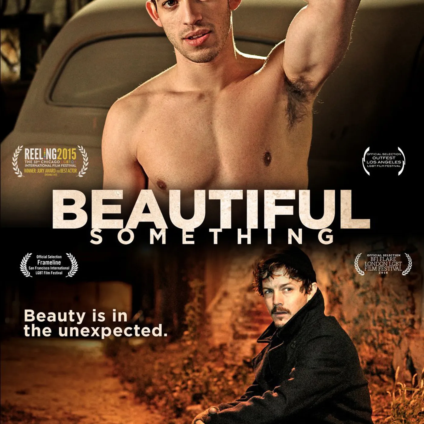 BEAUTIFUL SOMETHING DVD