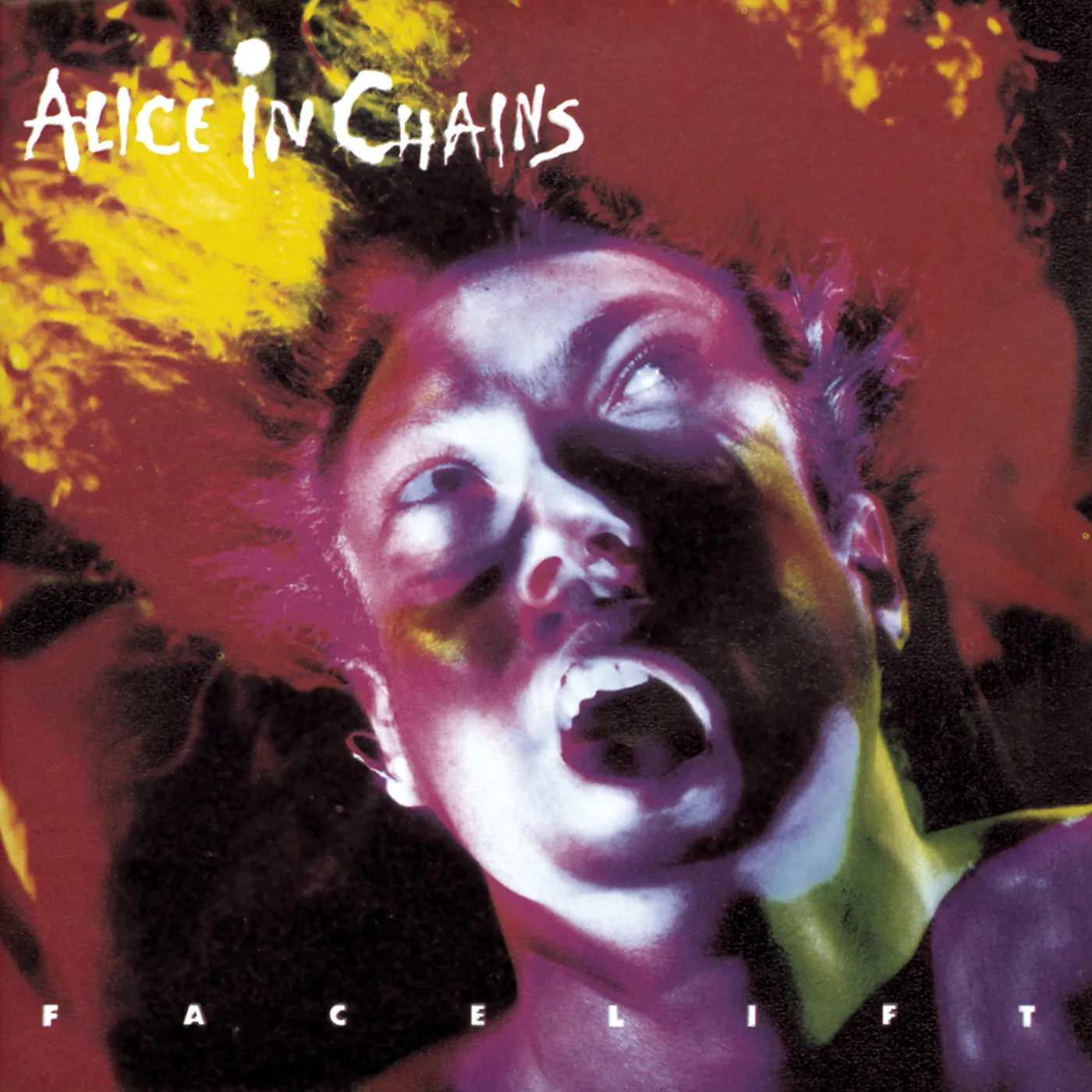 Alice In Chains FACELIFT CD
