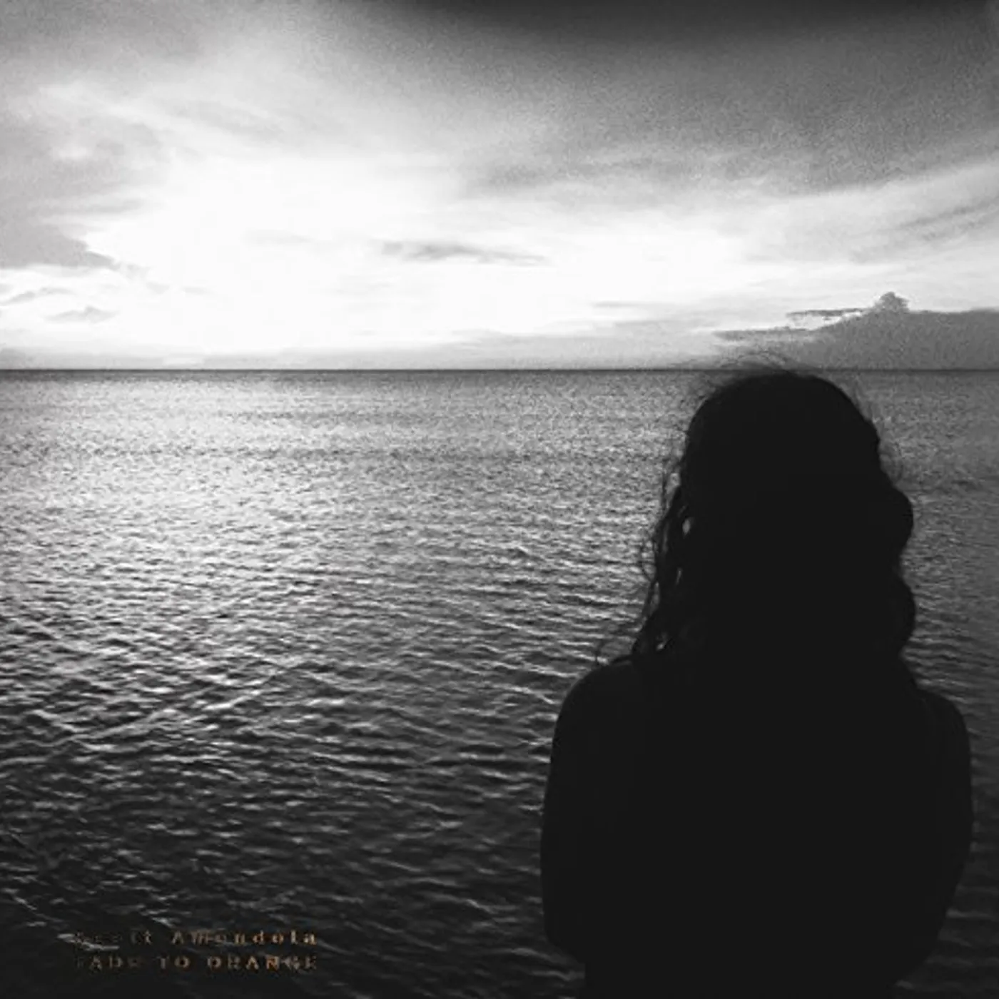 Scott Amendola Fade To Orange Vinyl Record