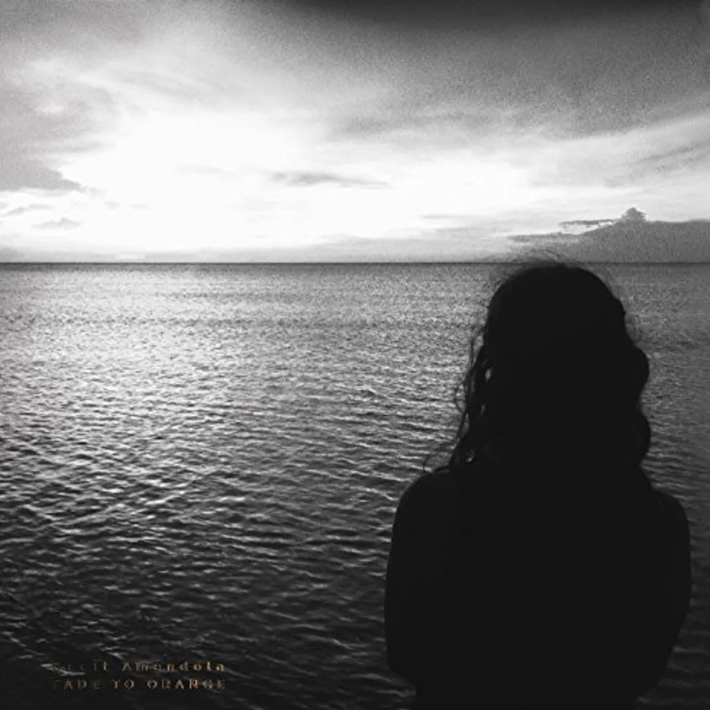 Scott Amendola FADE TO ORANGE CD