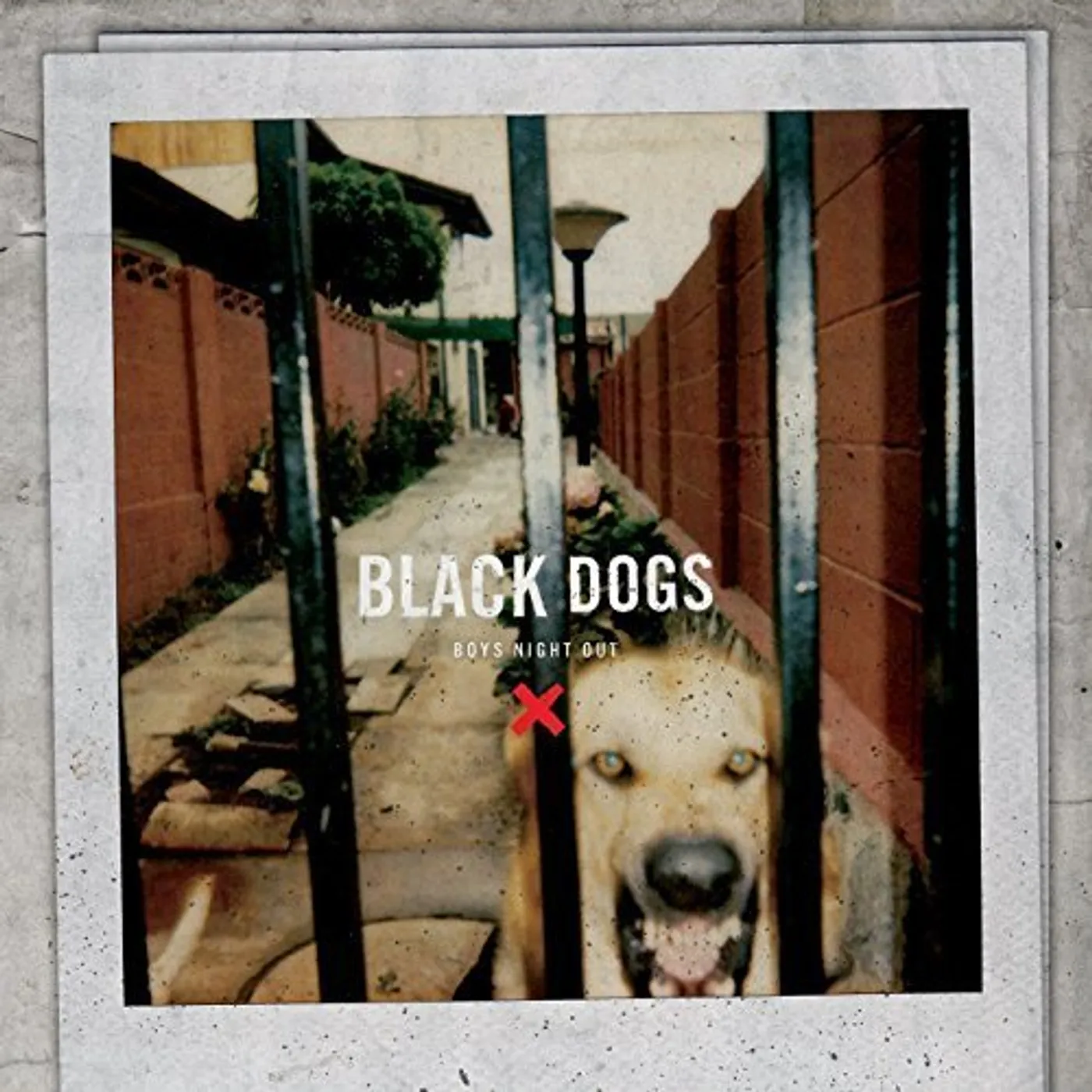 Boys Night Out Black Dogs Vinyl Record