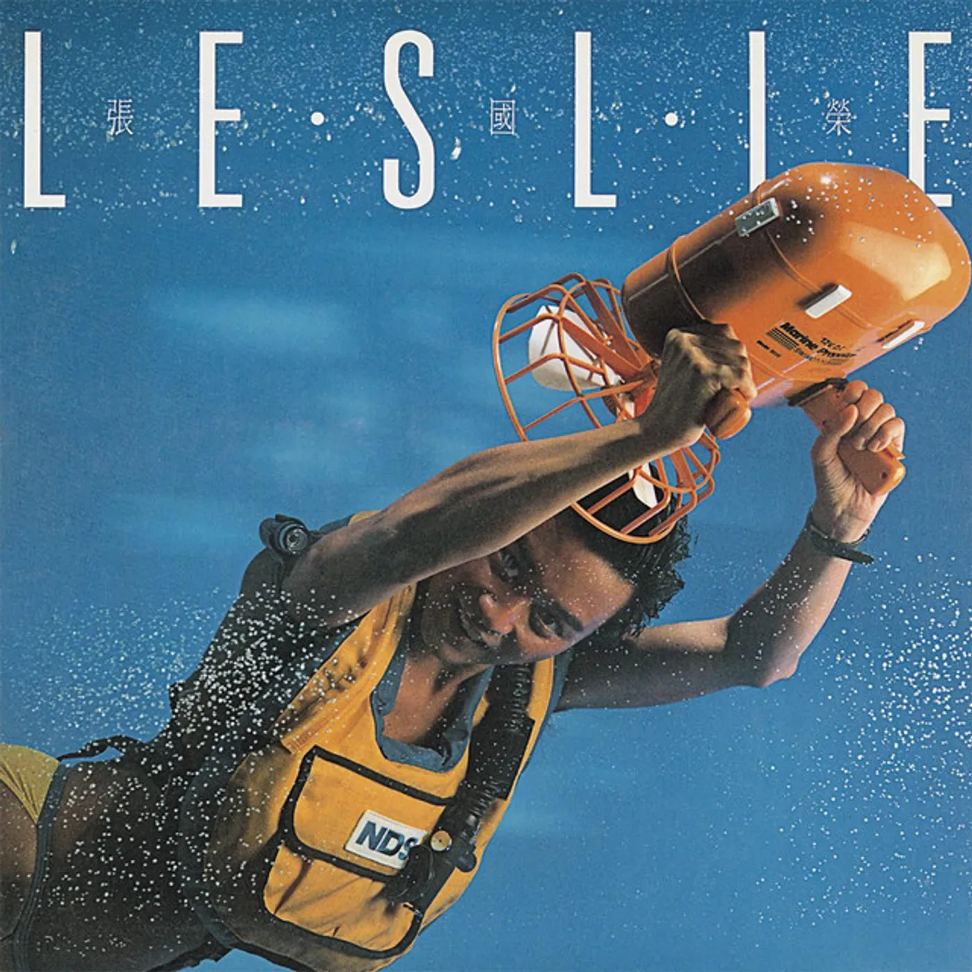 Leslie Cheung Leslie Vinyl Record