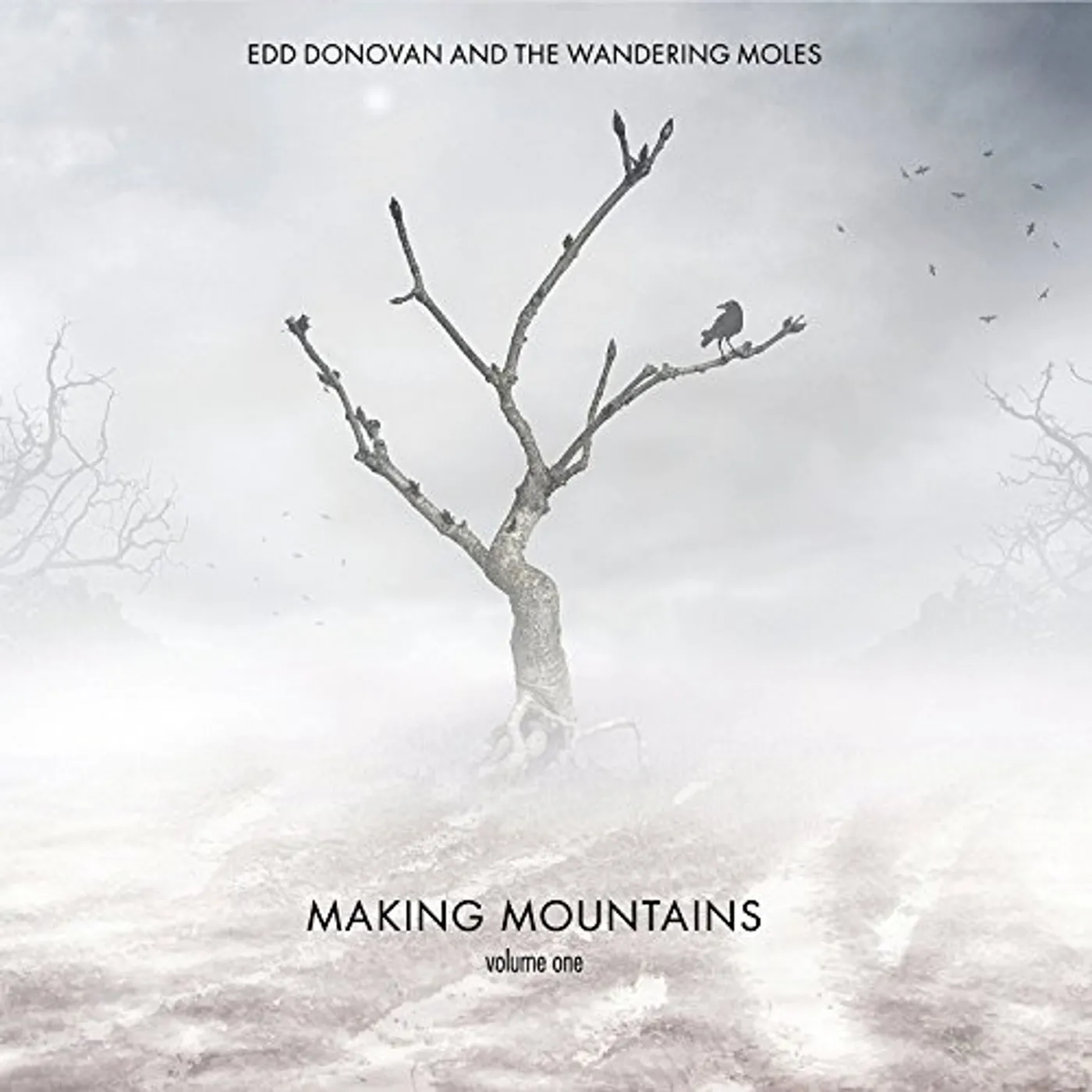 Edd Donovan and The Wandering Moles MAKING MOUNTAINS (VOLUME ONE) CD