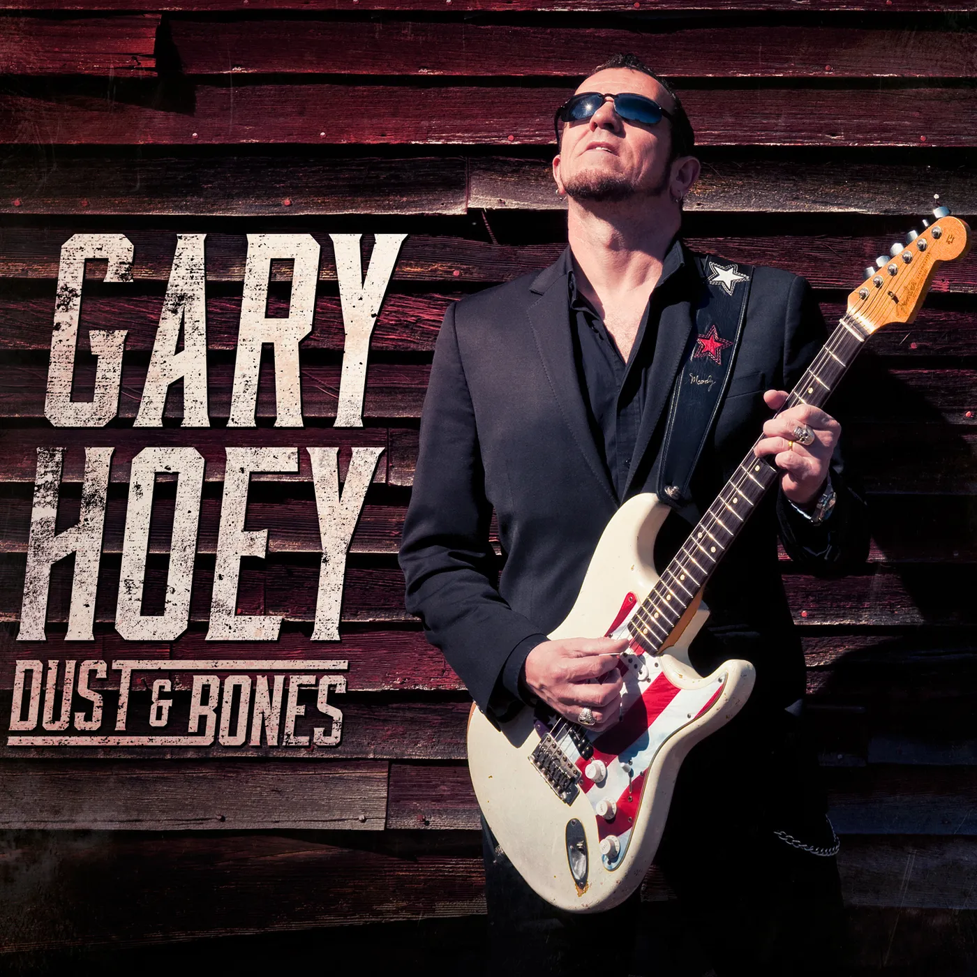 Gary Hoey DUST & BONES CD