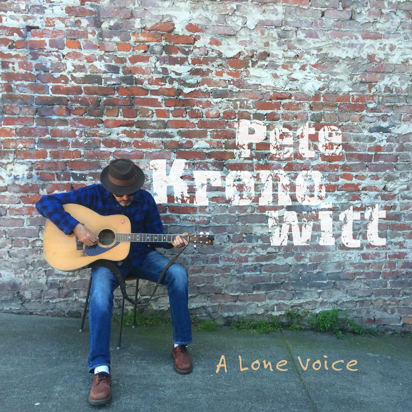 Pete Kronowitt A LONE VOICE CD