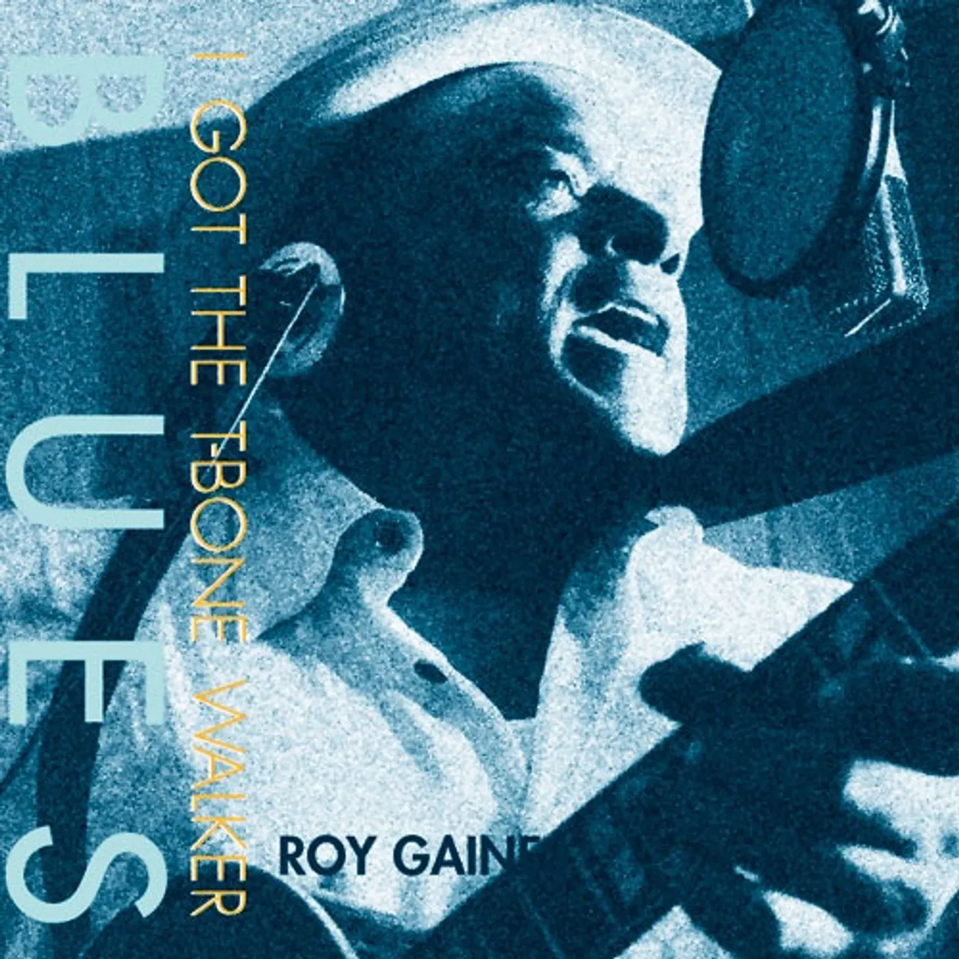 Roy Gaines I Got The T-Bone Walker Blues Vinyl Record
