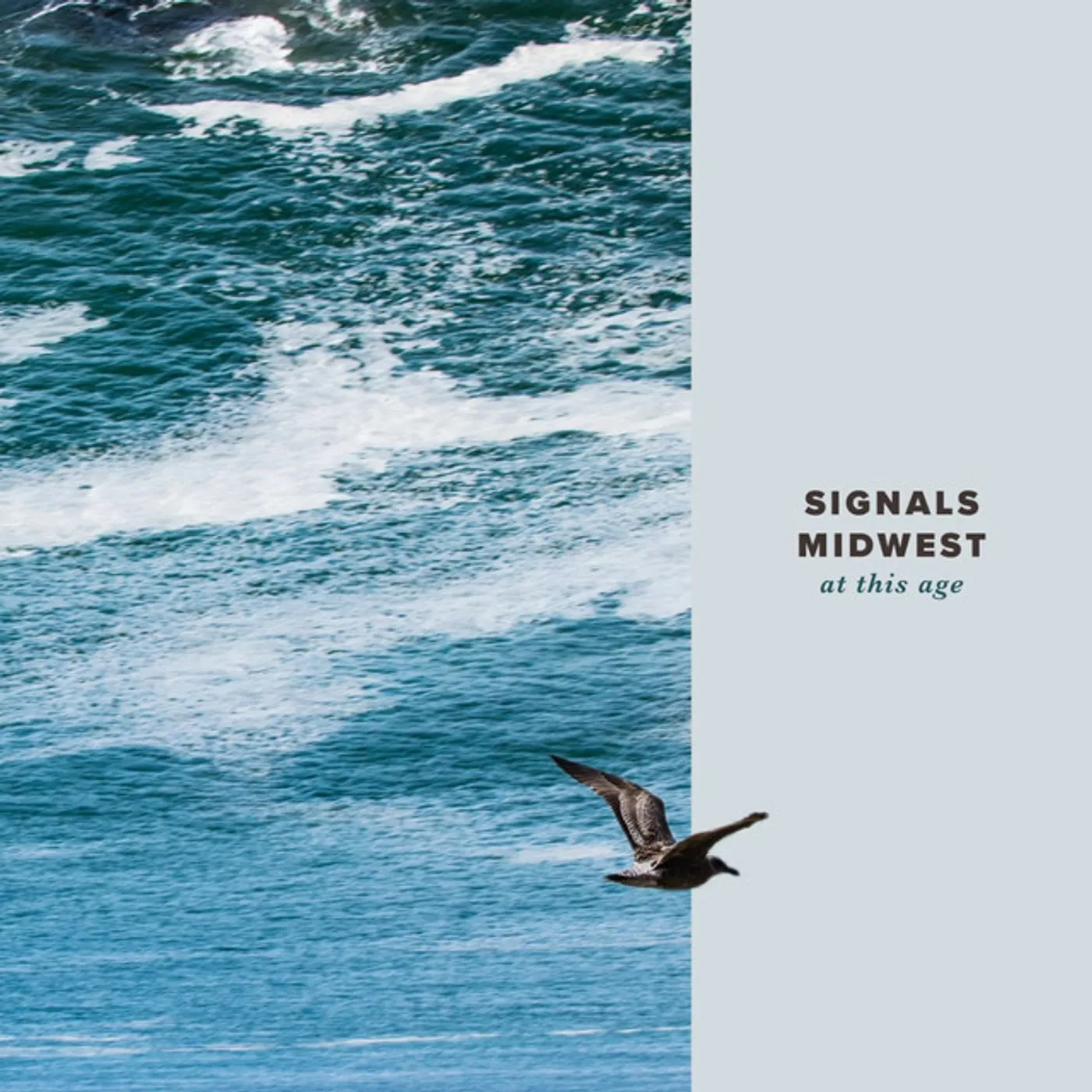 Signals Midwest At This Age Vinyl Record