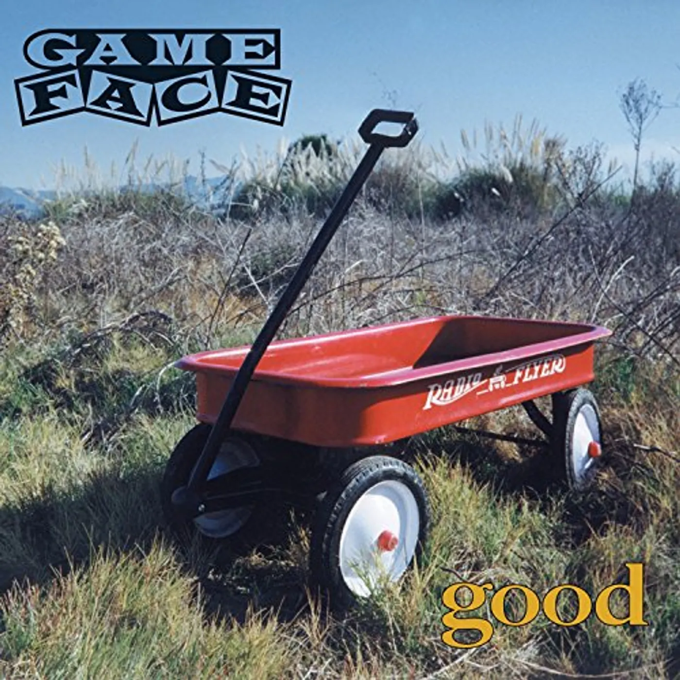 Gameface Good Vinyl Record