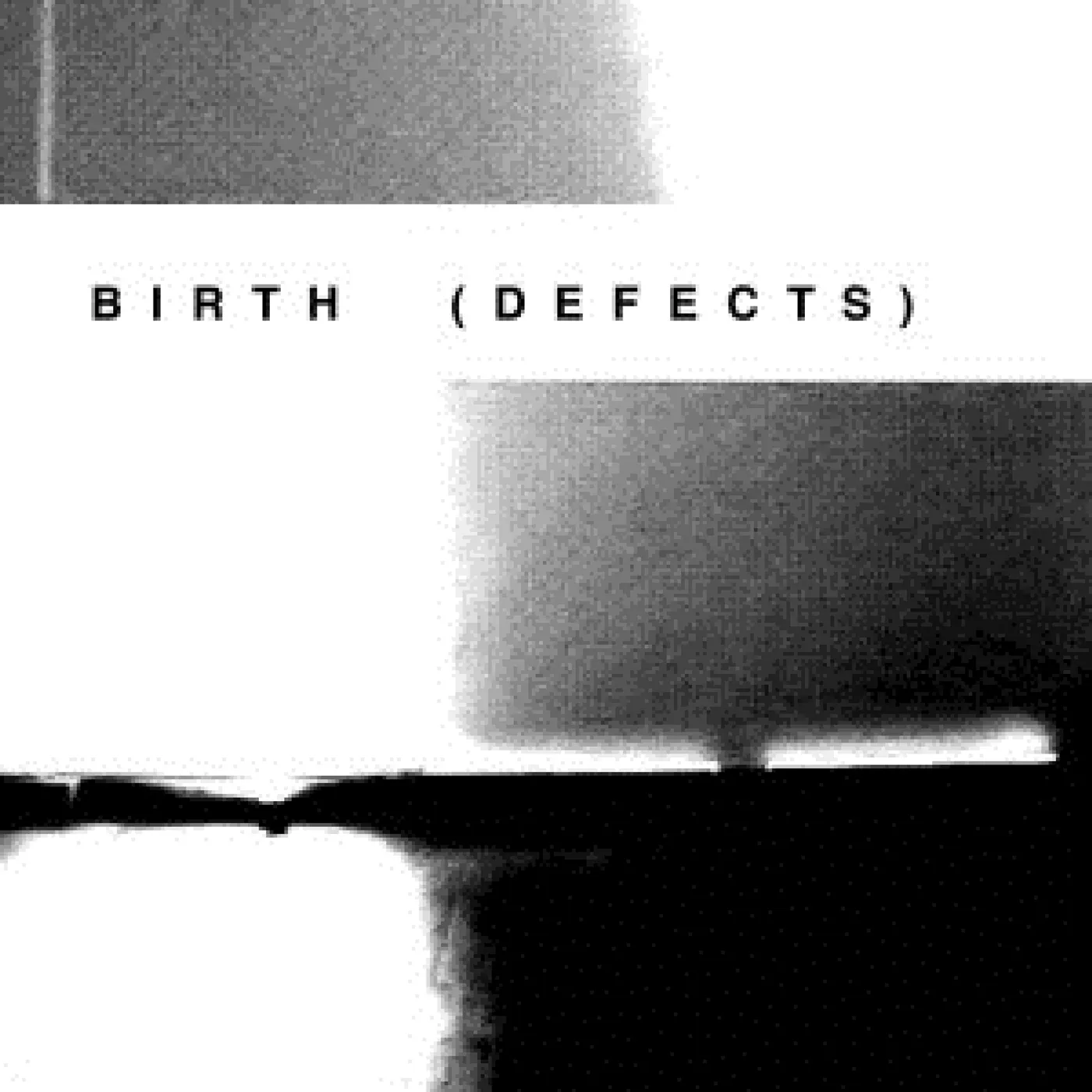 The Birth Defects Vinyl Record
