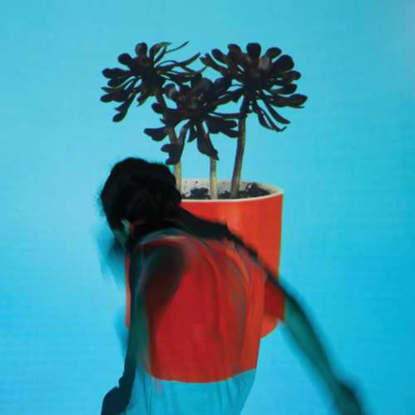 Local Natives SUNLIT YOUTH CD