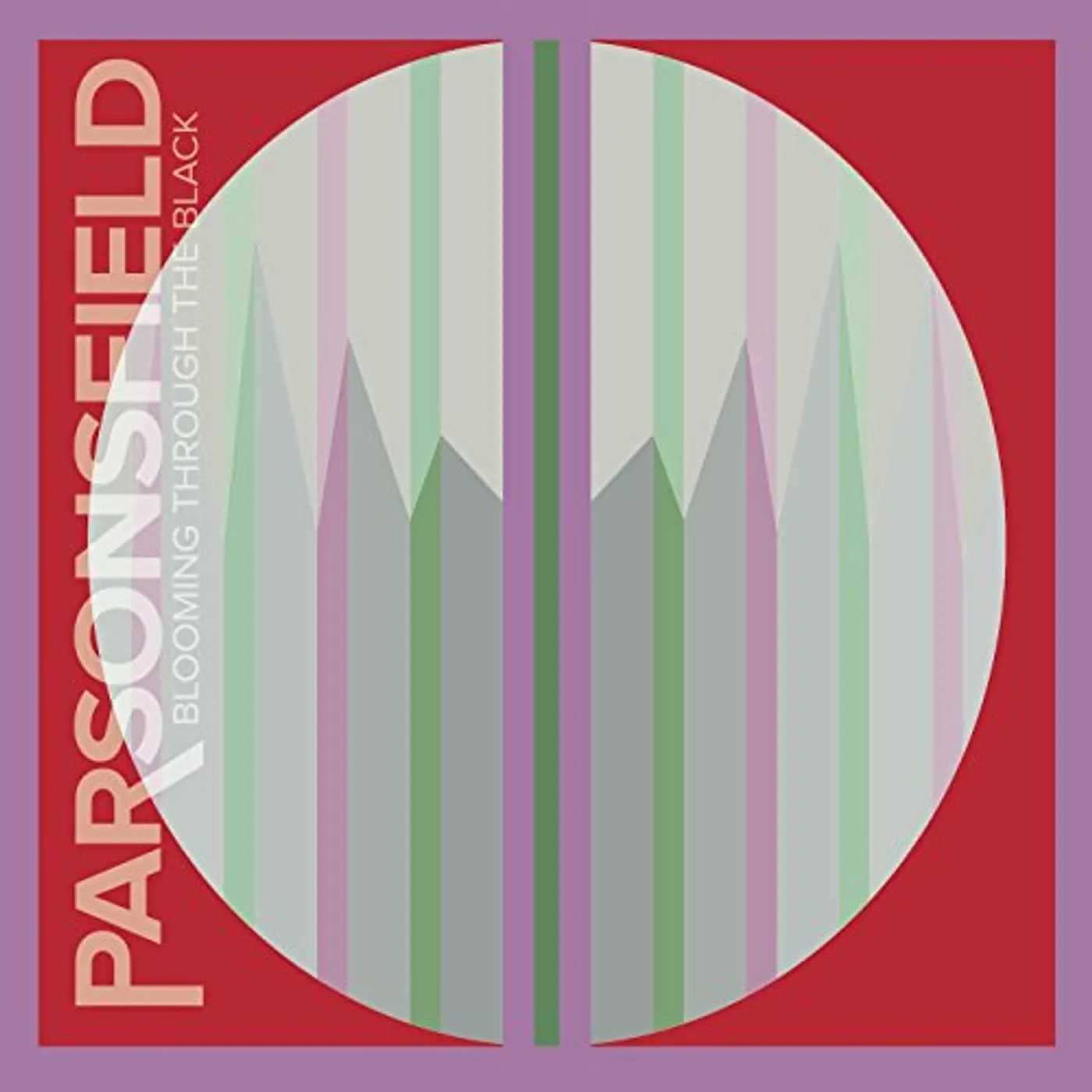 Parsonsfield BLOOMING THROUGH THE BLACK CD