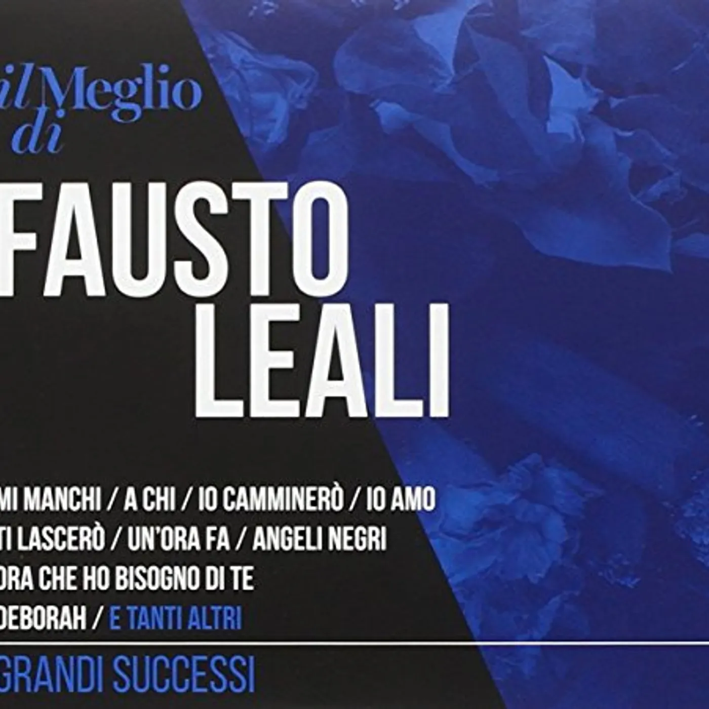 IL MEGLIO DI FAUSTO LEALI: GRANDI SUCCESSI CD