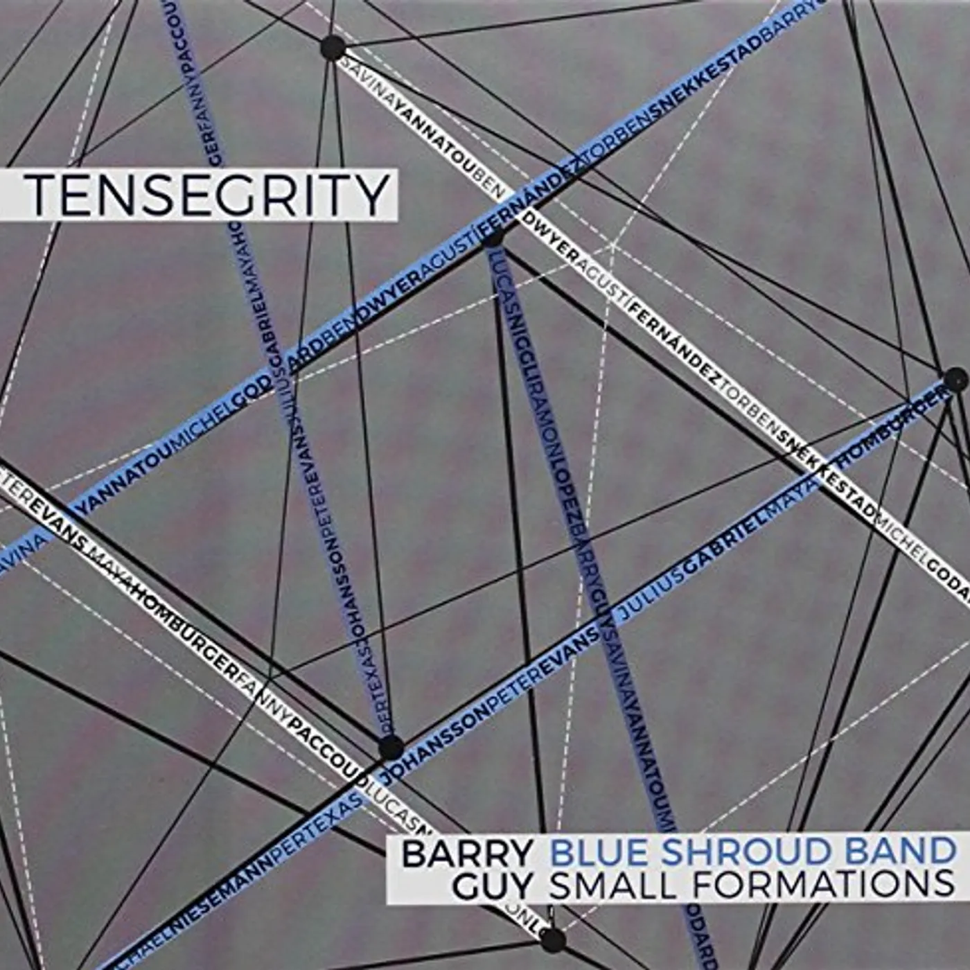 Barry Guy TENSEGRITY CD