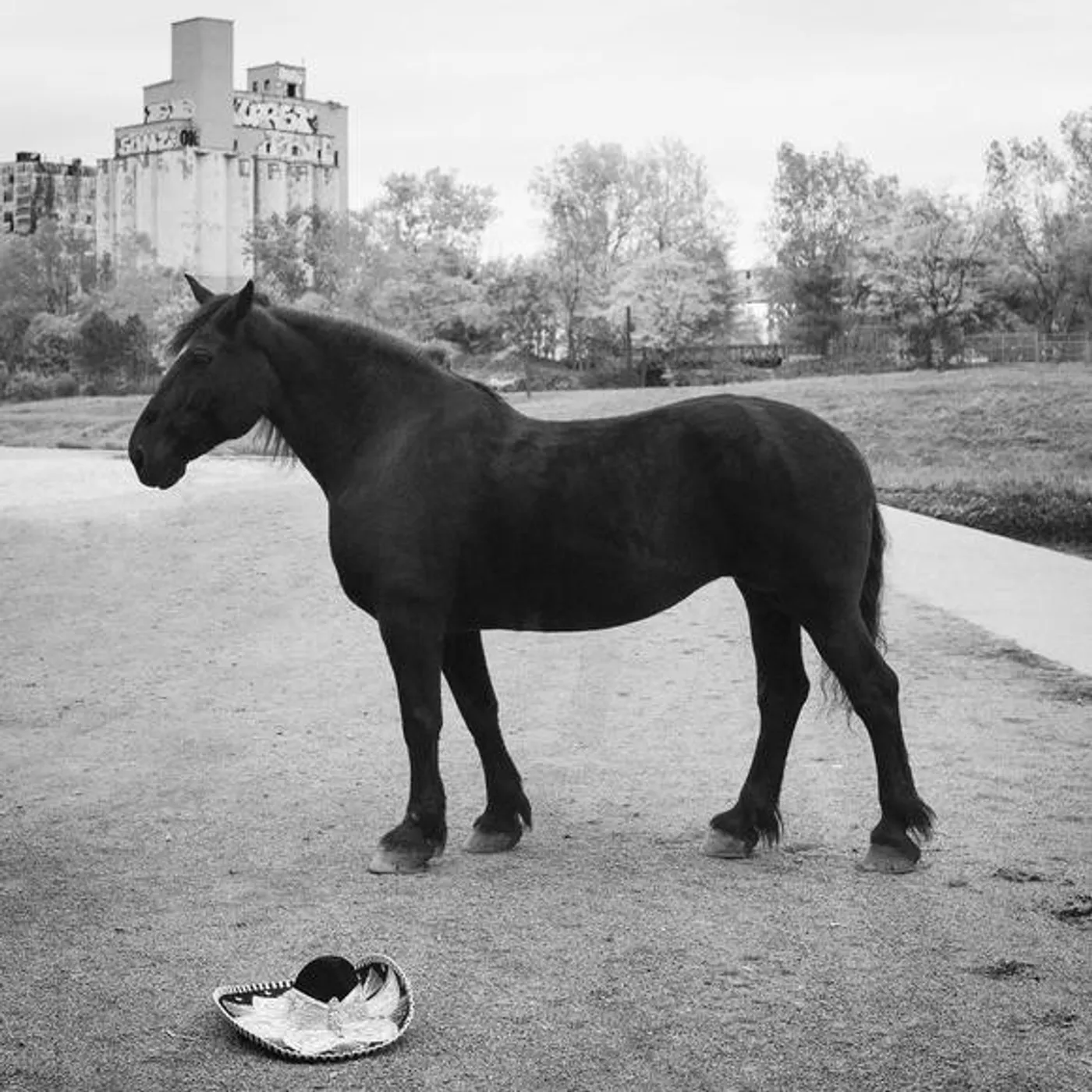 Rouge Pompier Chevy chase Vinyl Record