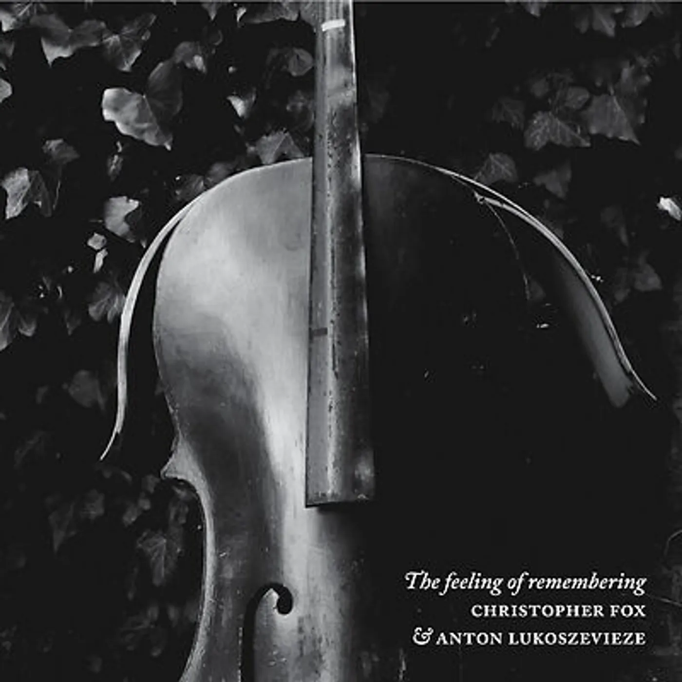 Christopher Fox / Anton Lukoszevieze RE:PLAY Vinyl Record - UK Release