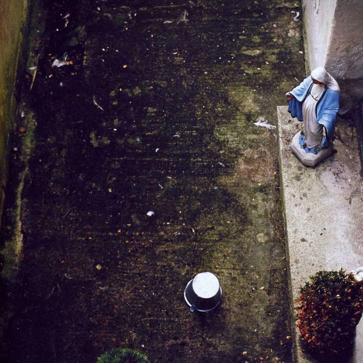 Palehorse HARMS STARTS HERE CD