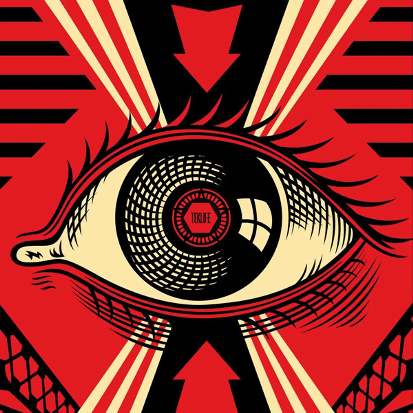 DJ Earl Open Your Eyes Vinyl Record