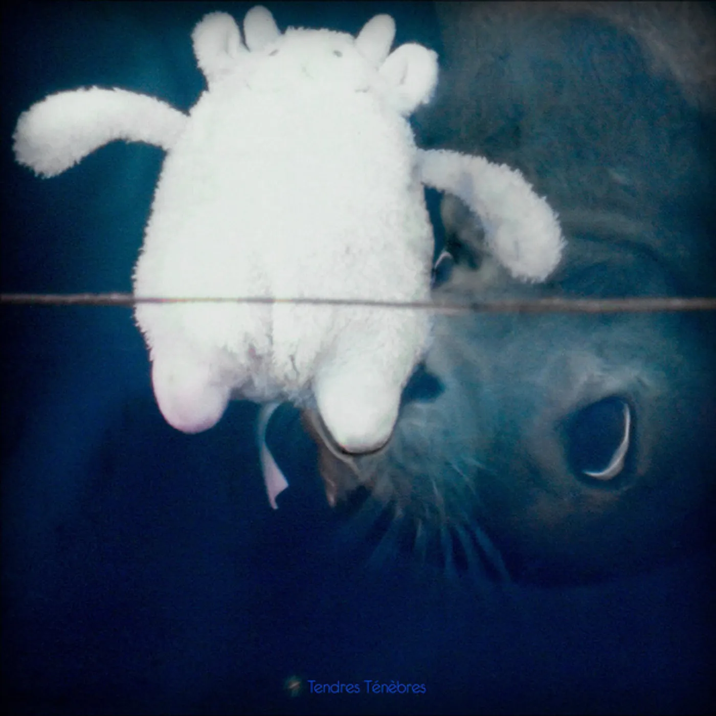 TENDRES TENEBRES / VARIOUS Vinyl Record