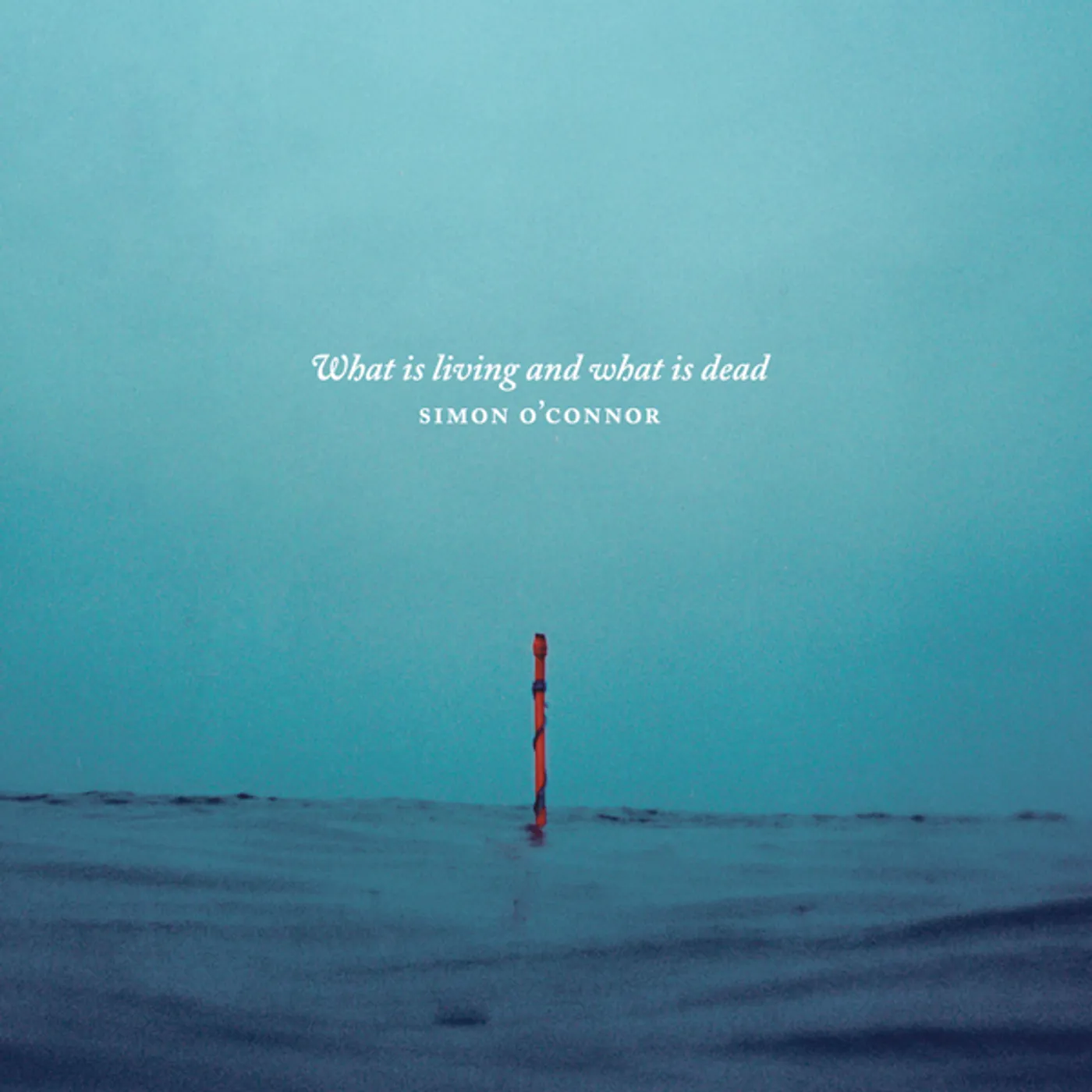 Simon O'Connor WHAT IS LIVING AND WHAT IS DEAD CD