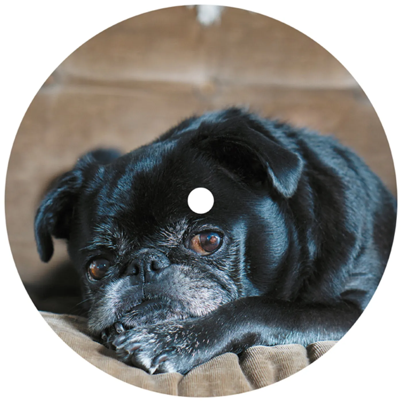 Split Secs Corduroy City Vinyl Record