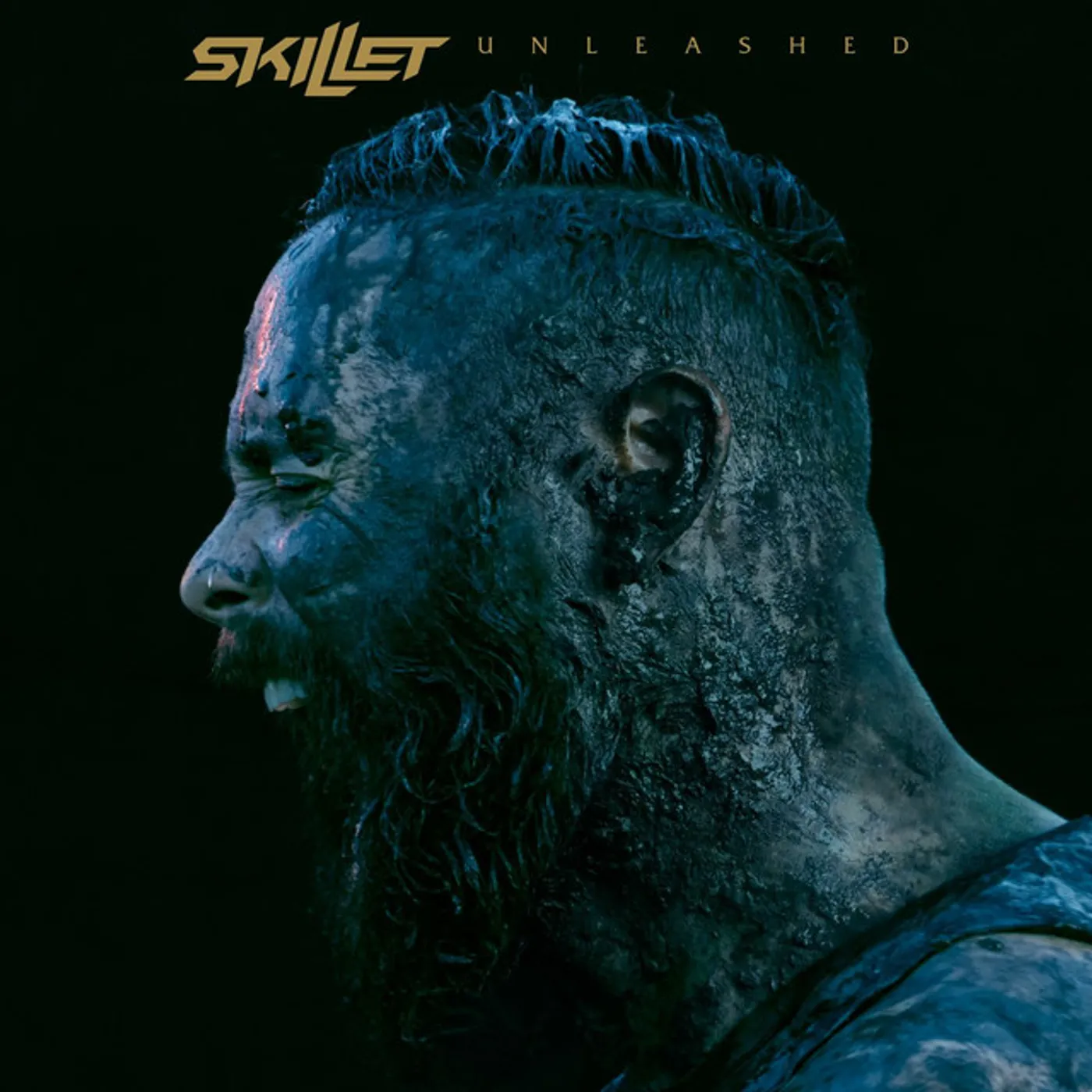 Skillet Unleashed Vinyl Record