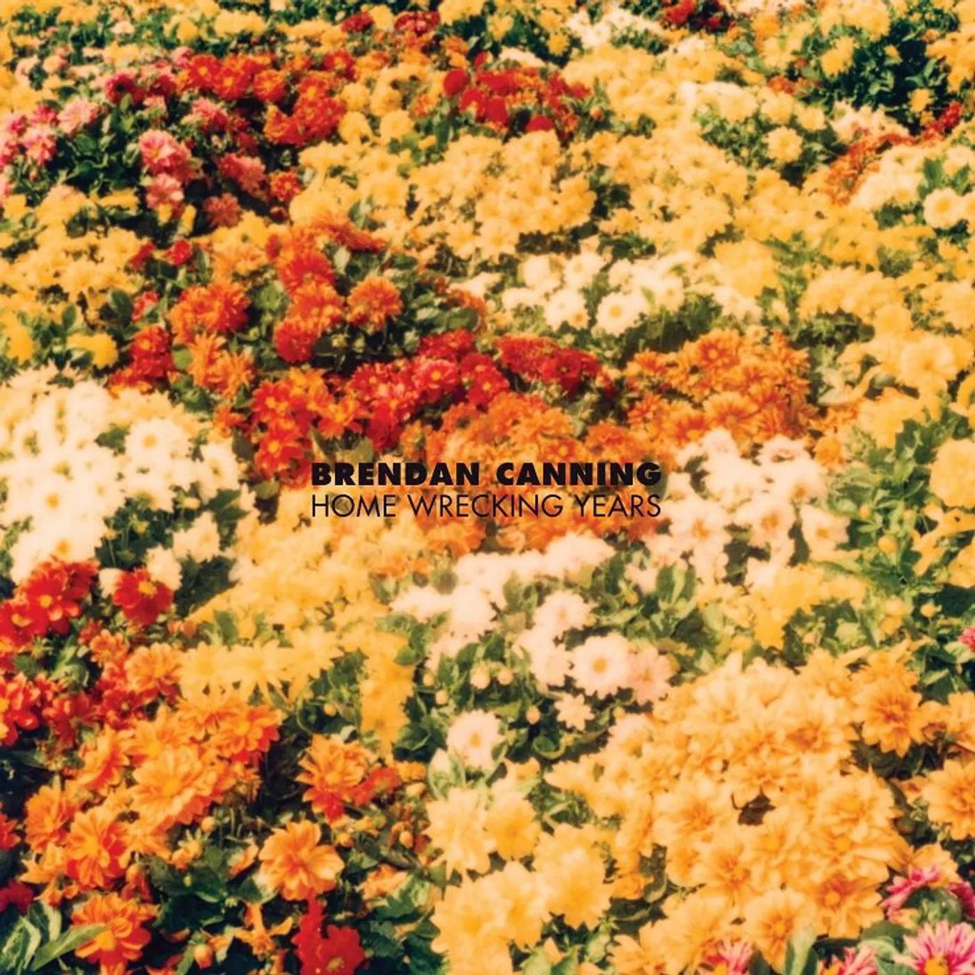 Brendan Canning Home Wrecking Years Vinyl Record