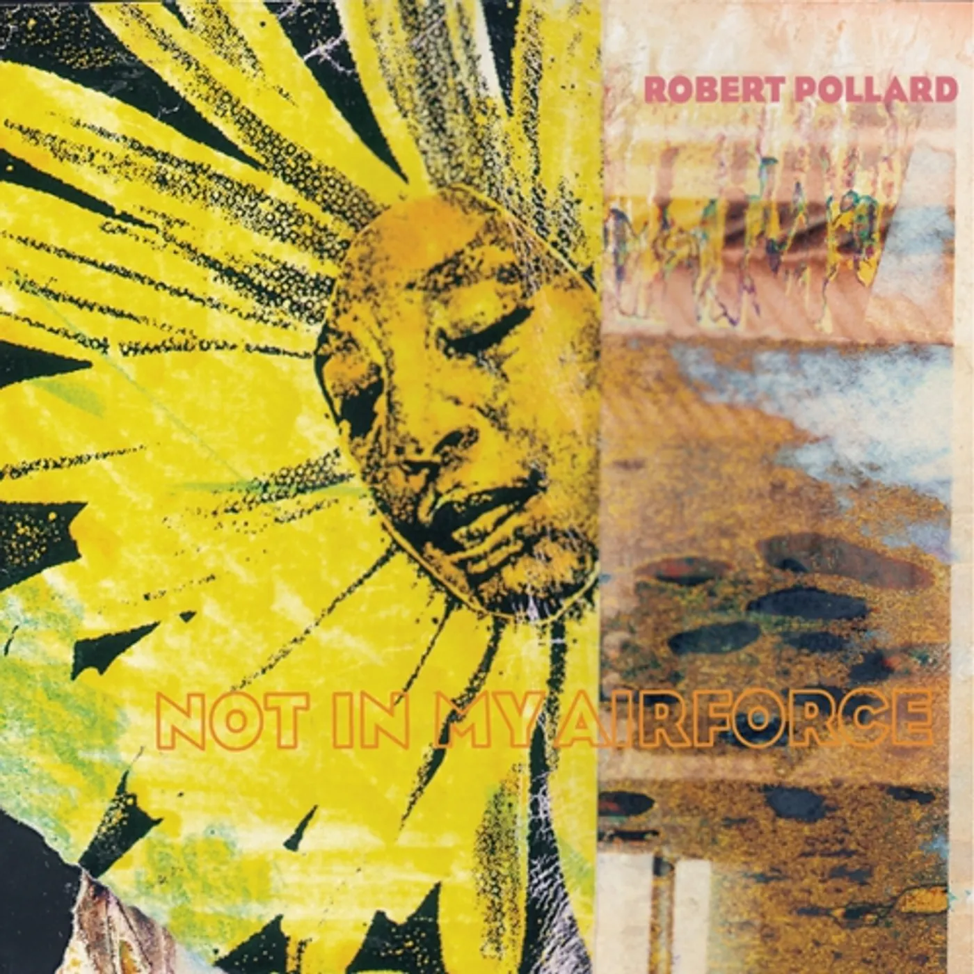 Robert Pollard Not in My Airforce Vinyl Record