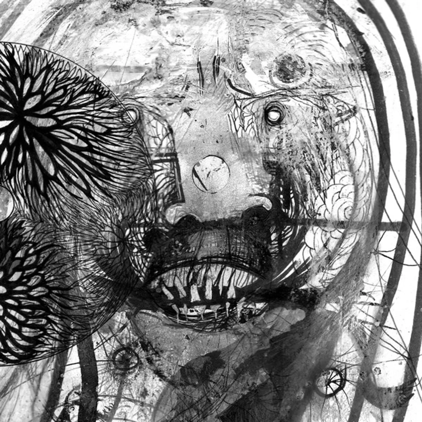Sonance Blackflower Vinyl Record