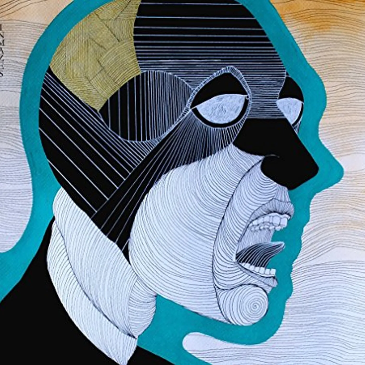 VOLA Inmazes Vinyl Record