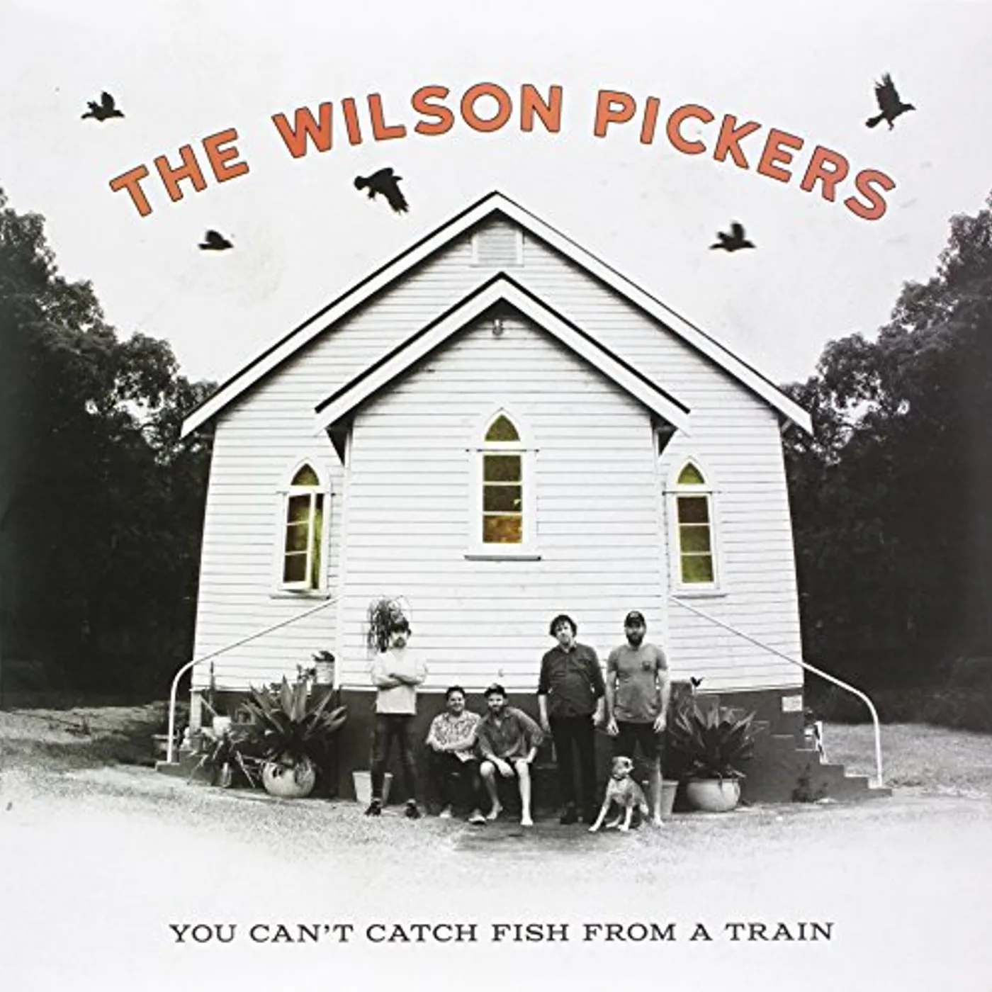 The Wilson Pickers You Can't Catch Fish From A Train Vinyl Record