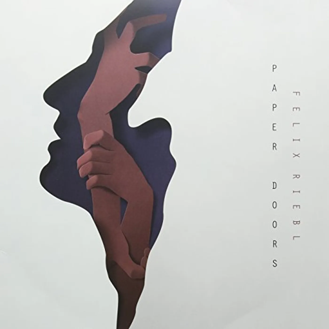 Felix Riebl Paper Doors Vinyl Record
